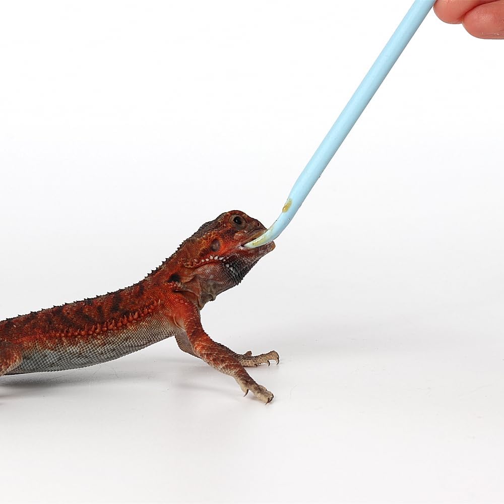 2Pcs Crested Gecko Food Mixing Spoon, Feeding Spoon fit Lizard Gargoyle Bearded Dragon - Blue