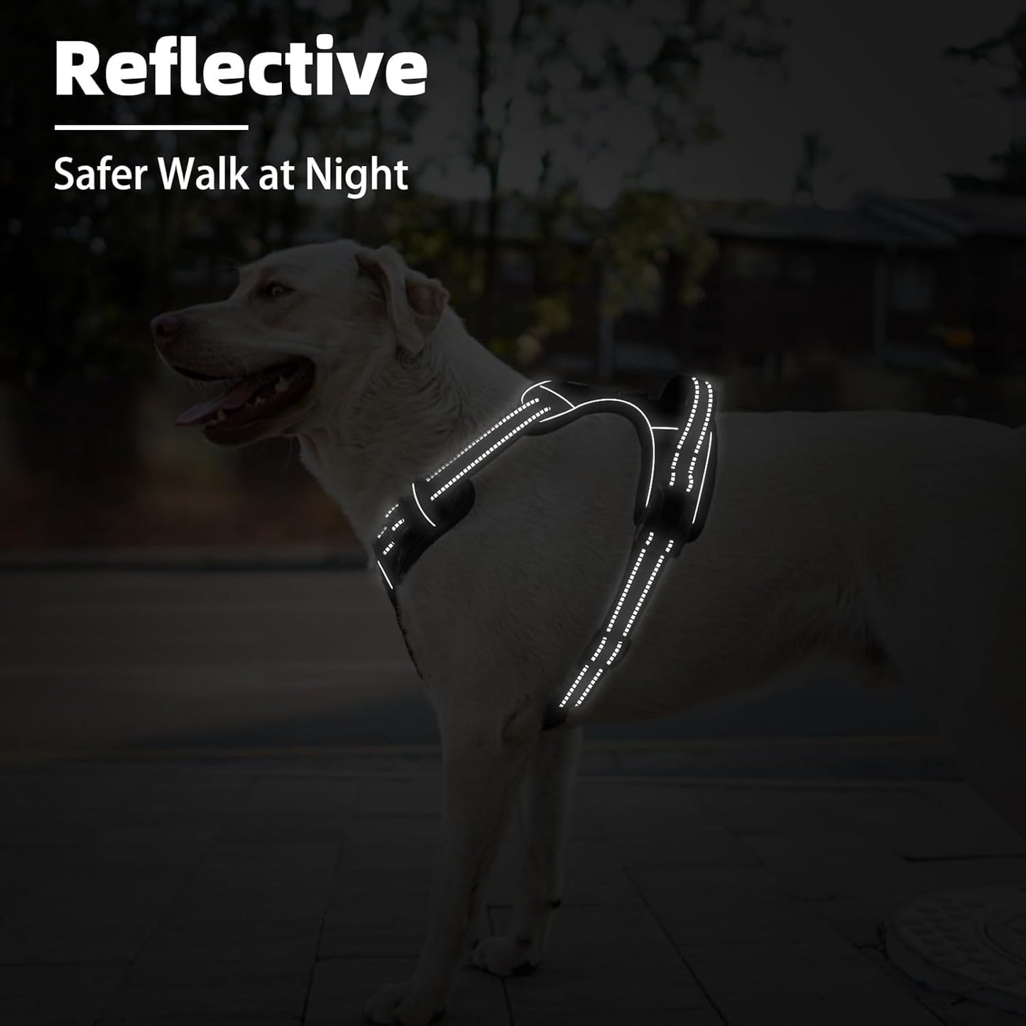 PUPTECK No Pull Dog Harness Small Sized, Adjustable Reflective Dog Harness with Handle Easy Control, Comfortable Soft Padded Pet Vest Harness for Small Dogs, Black S