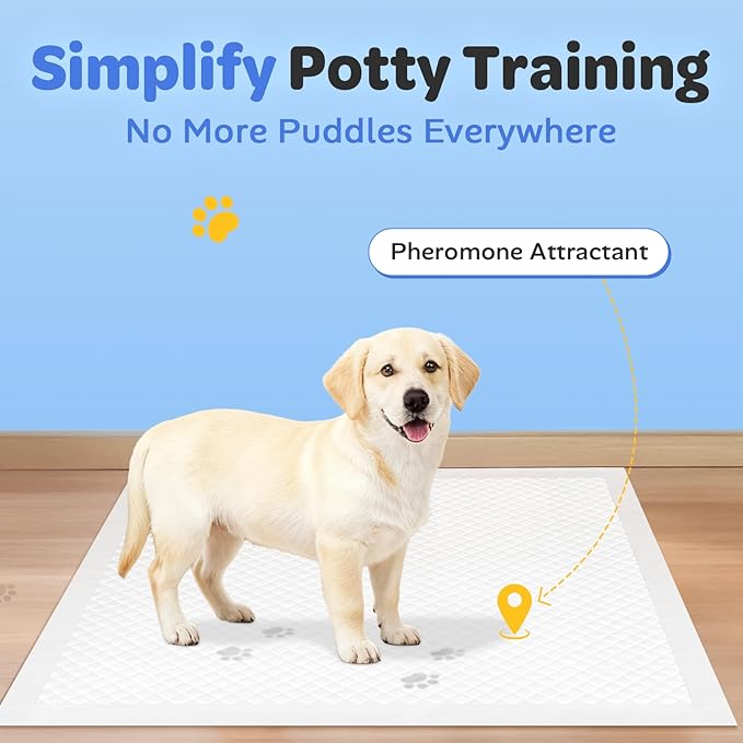 Disposable Puppy Pads, Absorbent Pee Pads for Baby 100 Count 22"x22", Leak Proof Quick Drying Incontinence Bed Underpads, Dog Potty Training Wee Wee Pads with Anti-Slip Adhesive Strips