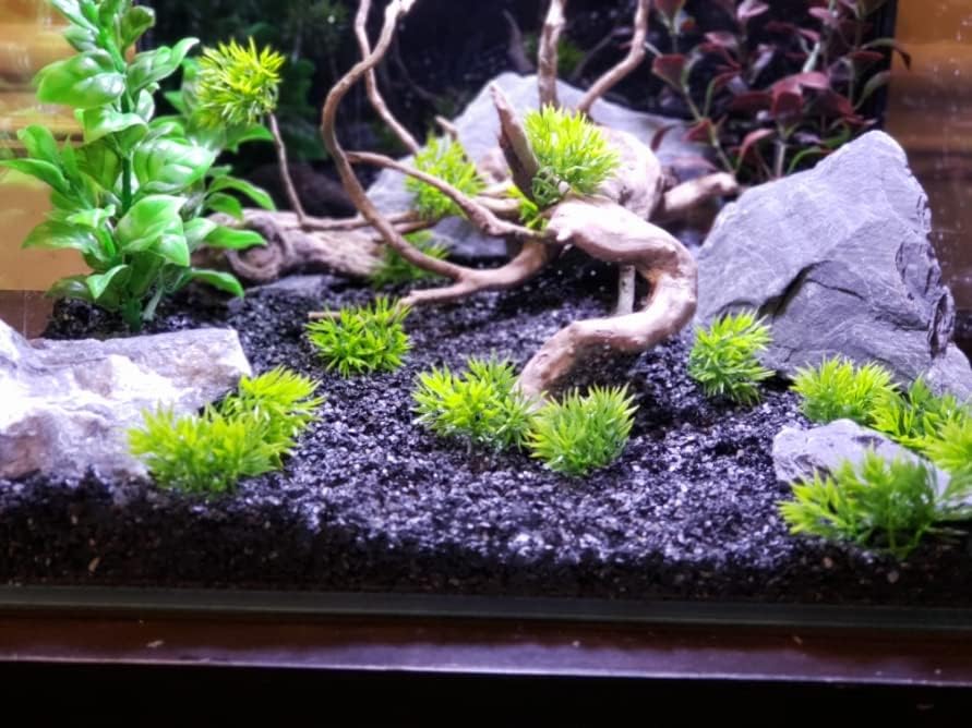 Natural Slate Stone 5 to 7 Inches - USA Sourced and Packaged for Aquascaping Aquariums, Terrariums, Paludariums, Reptile Enclosures, and Gardens (10lbs)