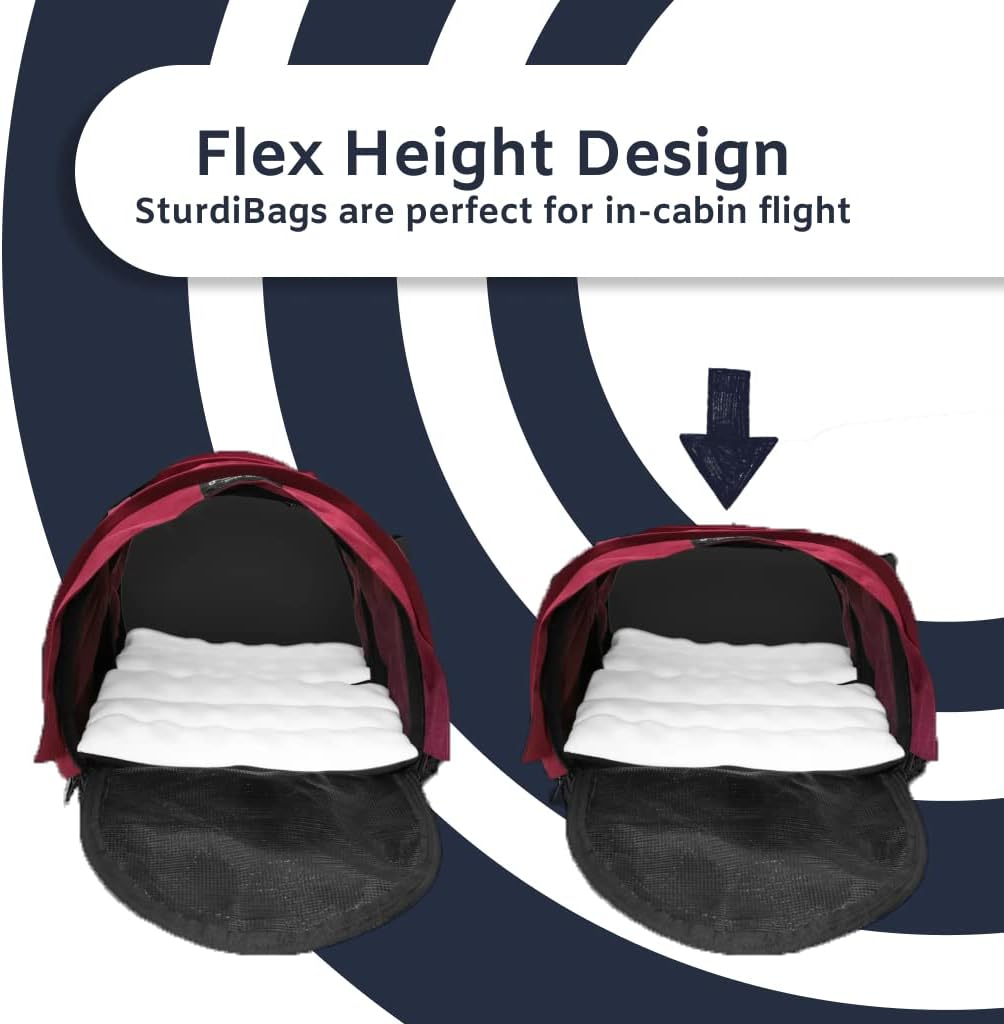 SturdiBag Large Pet Travel Carrier: Flexible Height for Cat and Dog Soft Sided with Safety Clips and Seatbelt Straps | Evergreen, 18" x 12" x 12" (PN: SB2-PRO-EG)