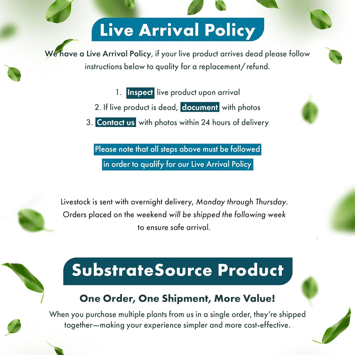 SubstrateSource Live Aquarium Red Stem Plants - Freshwater Aquatic Plant for Fish Tanks, Aquascaping - (Alternanthera Reineckii, 4 Bunches)