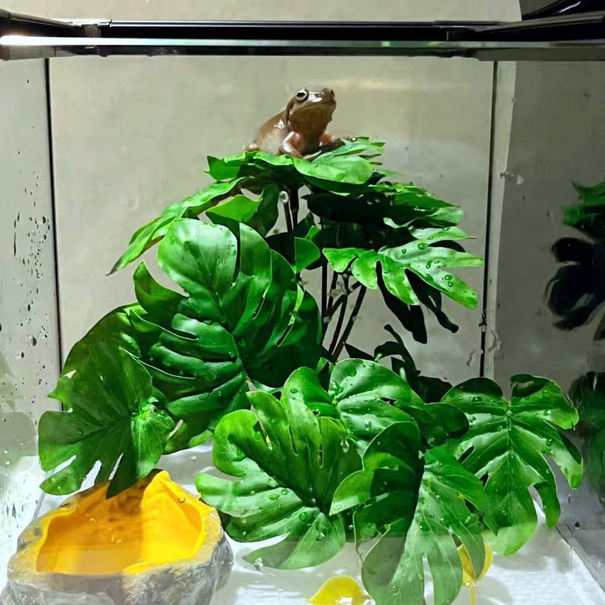 Reptile Plants for Terrarium Decor,Amphibian Habitat Decor,Artificial Plants for Gecko Chameleon Snake Tortoise Tank Accessories with Base (Monstera deliciosa)