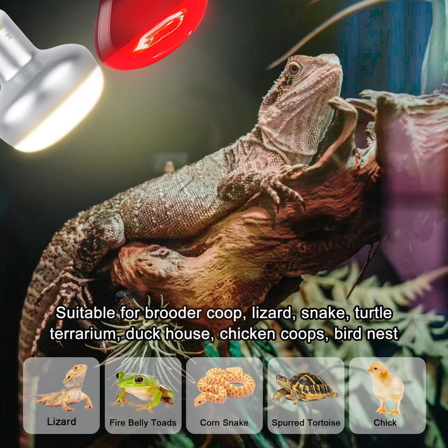 Reptile Heat Lamp Bulb 100W, 2-in-1 Day & Night Combo, Infrared Heat Lamp & UVA Sunlight Heating Lamp for Reptile Terrariums