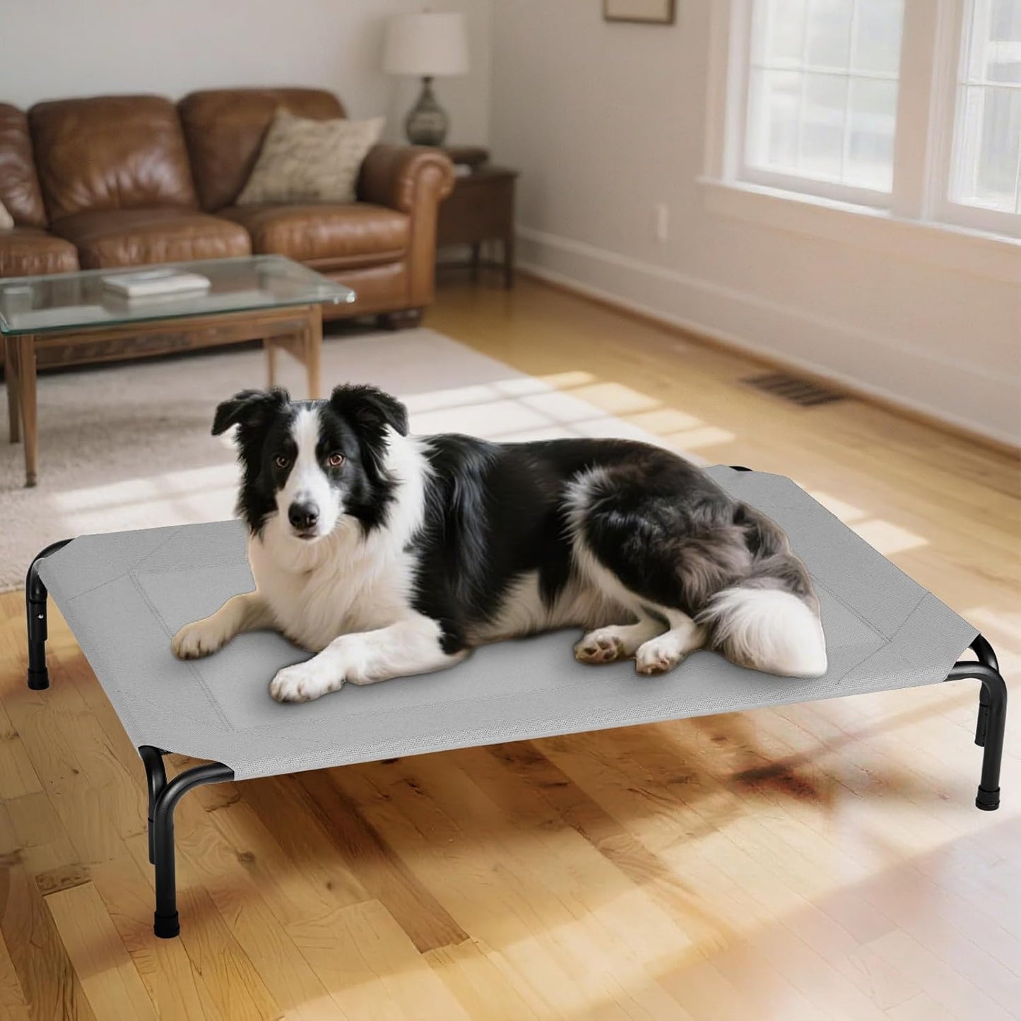 Elevated Dog Bed for Outdoor, Large Raised Dogs Cot for Training, Cooling Pet Beds with Washable Mesh, Indestructible Lifted Platform for Outside Camping, 41 inch Grey