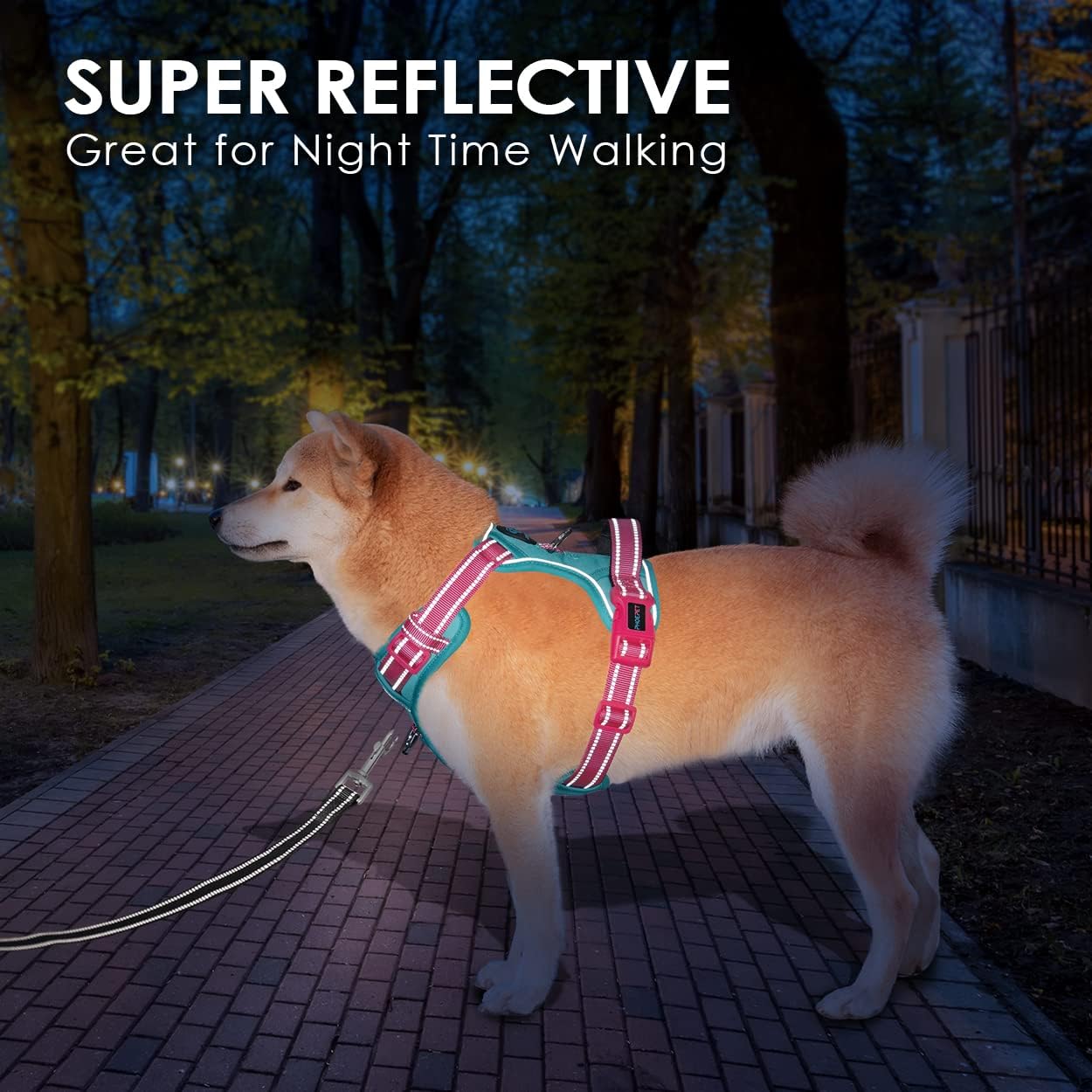 PHOEPET No Pull Dog Harness, Unique Colors Reflective Adjustable Dog Vest, with Soft Training Handle Metal Clips for Small Medium Large Dogs (Mint Green Base & Pink Straps,XS)