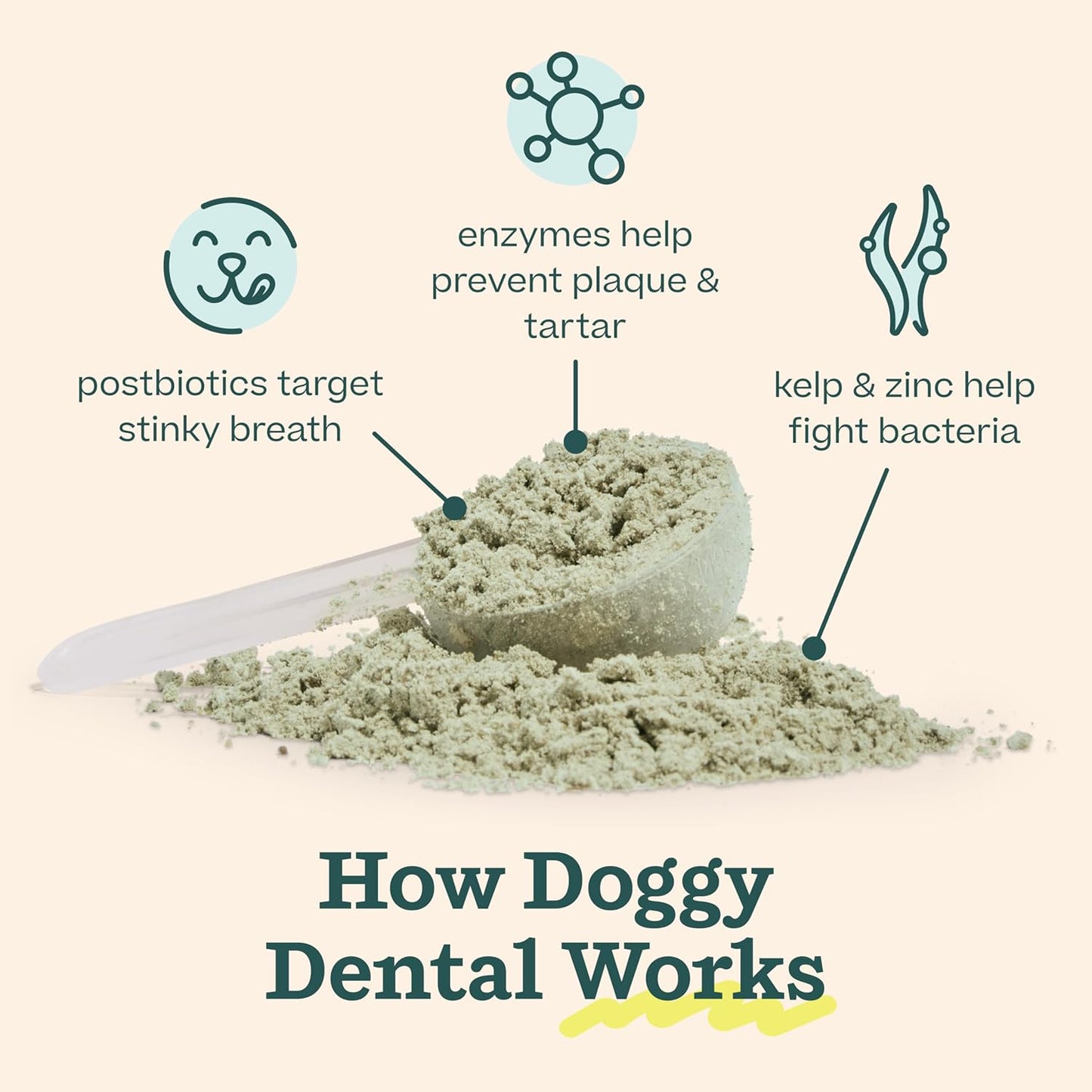 WOOF Dental Kit- Includes Pupsicle Dog Toy, Treat Tray, Shaker Bottle, Chicken Pupsicle Pops, and Dog Teeth Cleaning Powder - Supports Oral Health for Dogs - Large