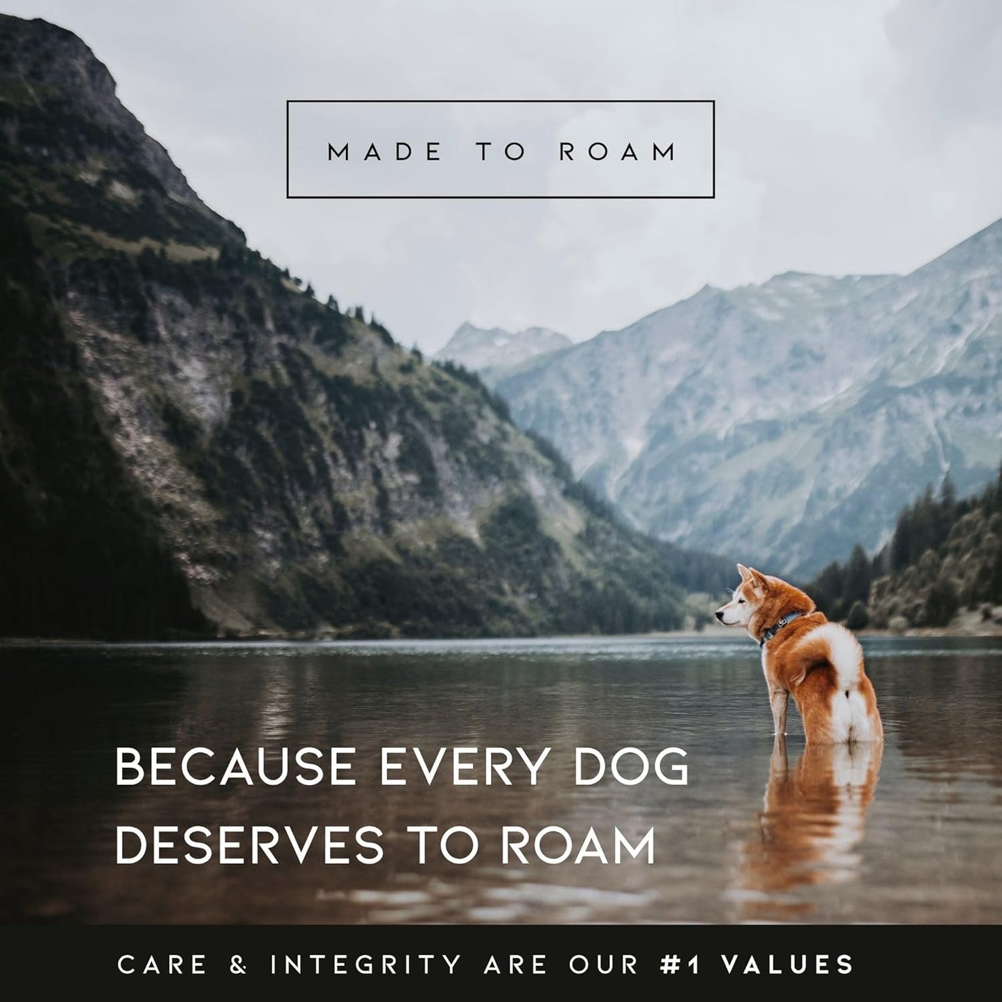 MADE TO ROAM Premium Explorer Harness - Y-Shaped Dog Harness with Adjustable Durable Nylon, Soft Padding, Metal Buckles and Leather Handle for Small, Medium, Large Dogs (Maine Marina, Size 4)