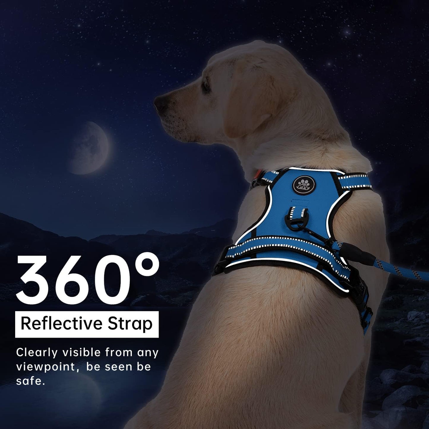 IVY&LANE No Pull Dog Harness for Large Dogs, Dog Vest Harness with Leash, Safety Belt and Storage Strap, Fully Adjustable Harness, 360° Reflective Strip, Soft Handle (Blue, L)