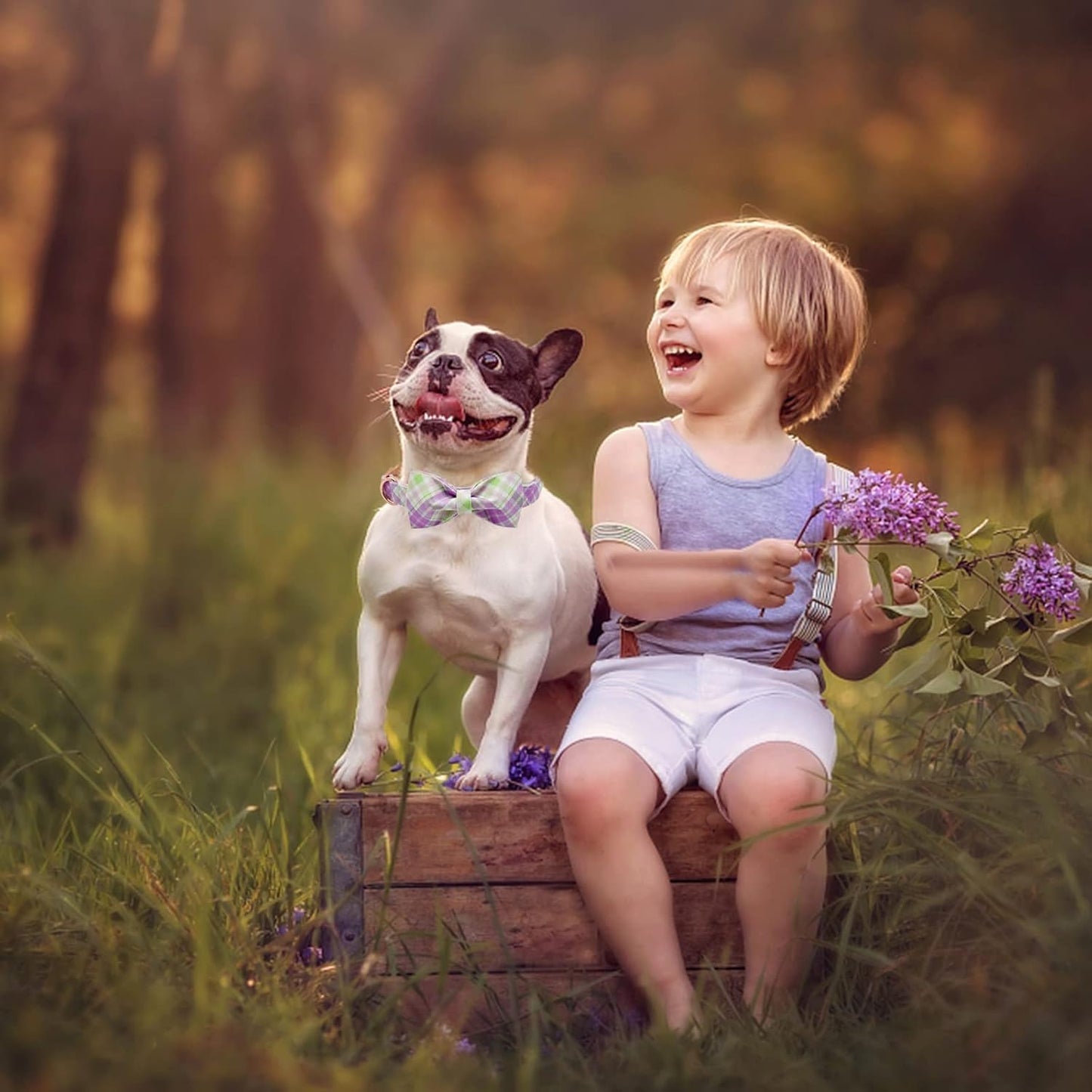 Elegant Little Tail Plaid Collar with Cute Bowtie for Small to Large Dogs