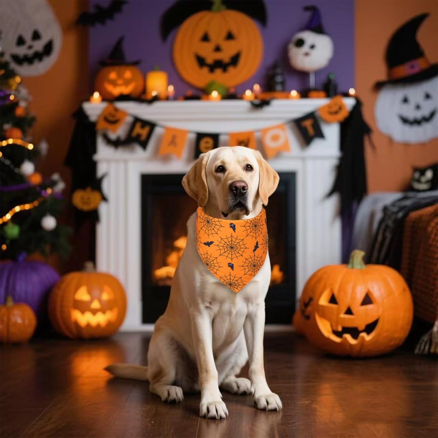 Halloween Dog Bandana for Small Dogs - Reversible Orange Jack-o-Lantern & Spiderweb Print Scarf - Soft & Quick-Dry for Costume Parties