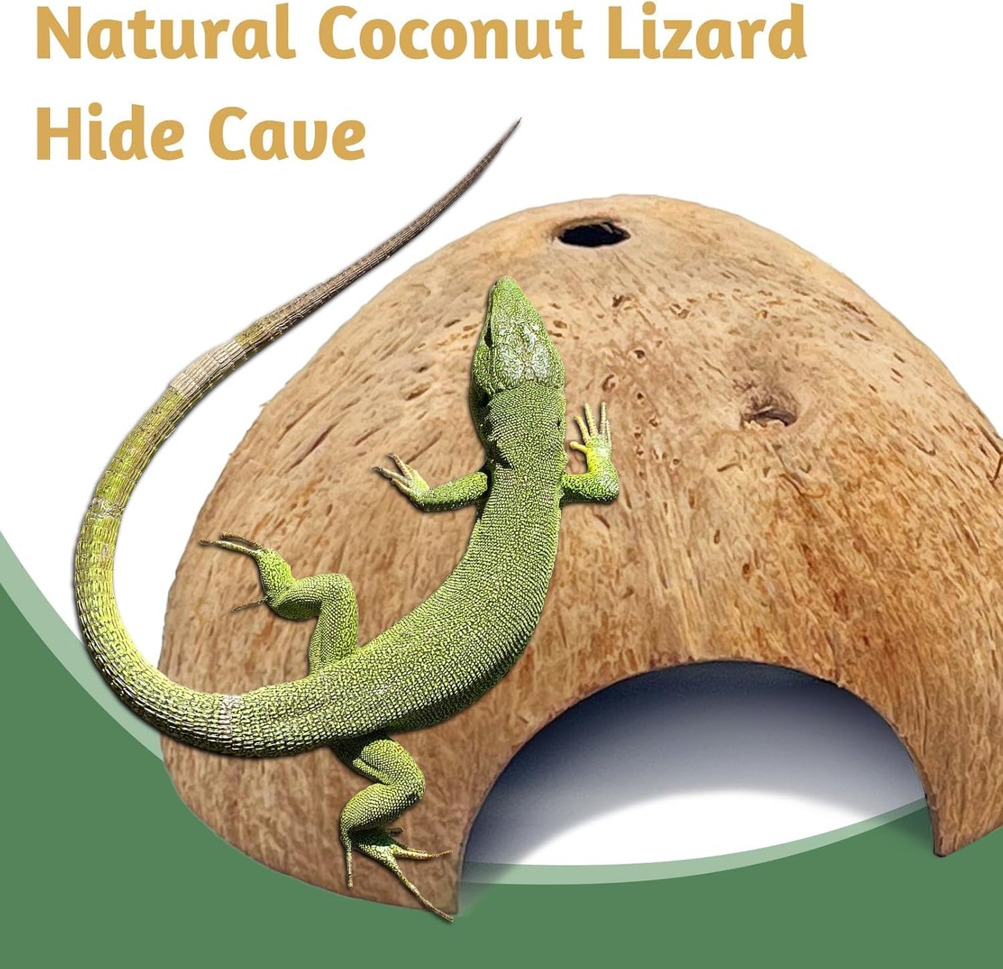 PINVNBY 2 PCS Natural Coconut Reptile Hideouts Lizard Coco Hut Hermit Crab Hut Aquarium Fish Hide Cave Spider Snail Climber Toys