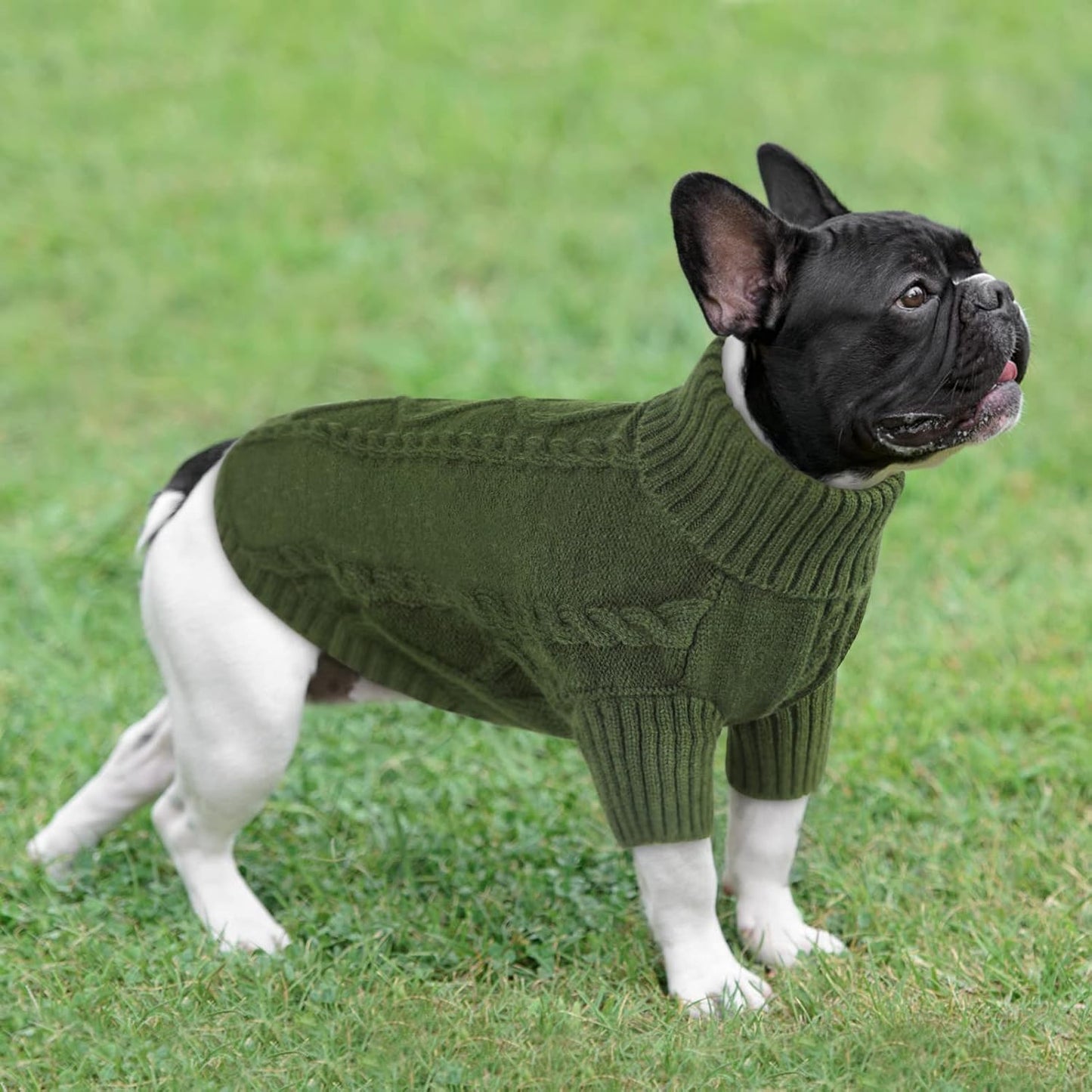 Queenmore Small Dog Pullover Sweater, Cold Weather Cable Knitwear, Classic Turtleneck Thick Warm Clothes for Chihuahua, Bulldog, Dachshund, Pug (Army Green, X-Small)