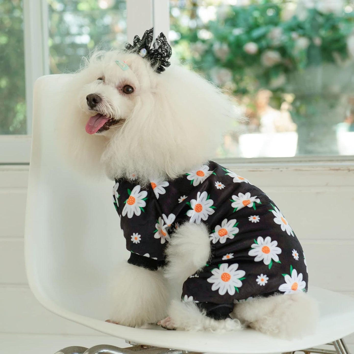 CuteBone Small Dogs Outfit Soft Puppy Onesies Pjs Dog Pajamas Pet Coat Cat Apparel Comfy Doggie Jumpsuit Bodysuit for All Seasons P221S