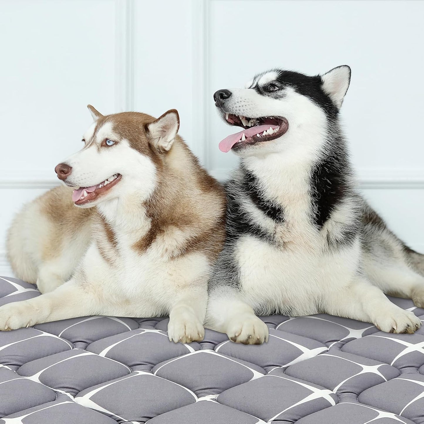 Bubble bear Dog Crate Mat - Ultra Soft, Washable & Anti-Slip Kennel Pad for Small/Medium/Large Dogs, Dark-Hued to Hide Stains (59"x35")