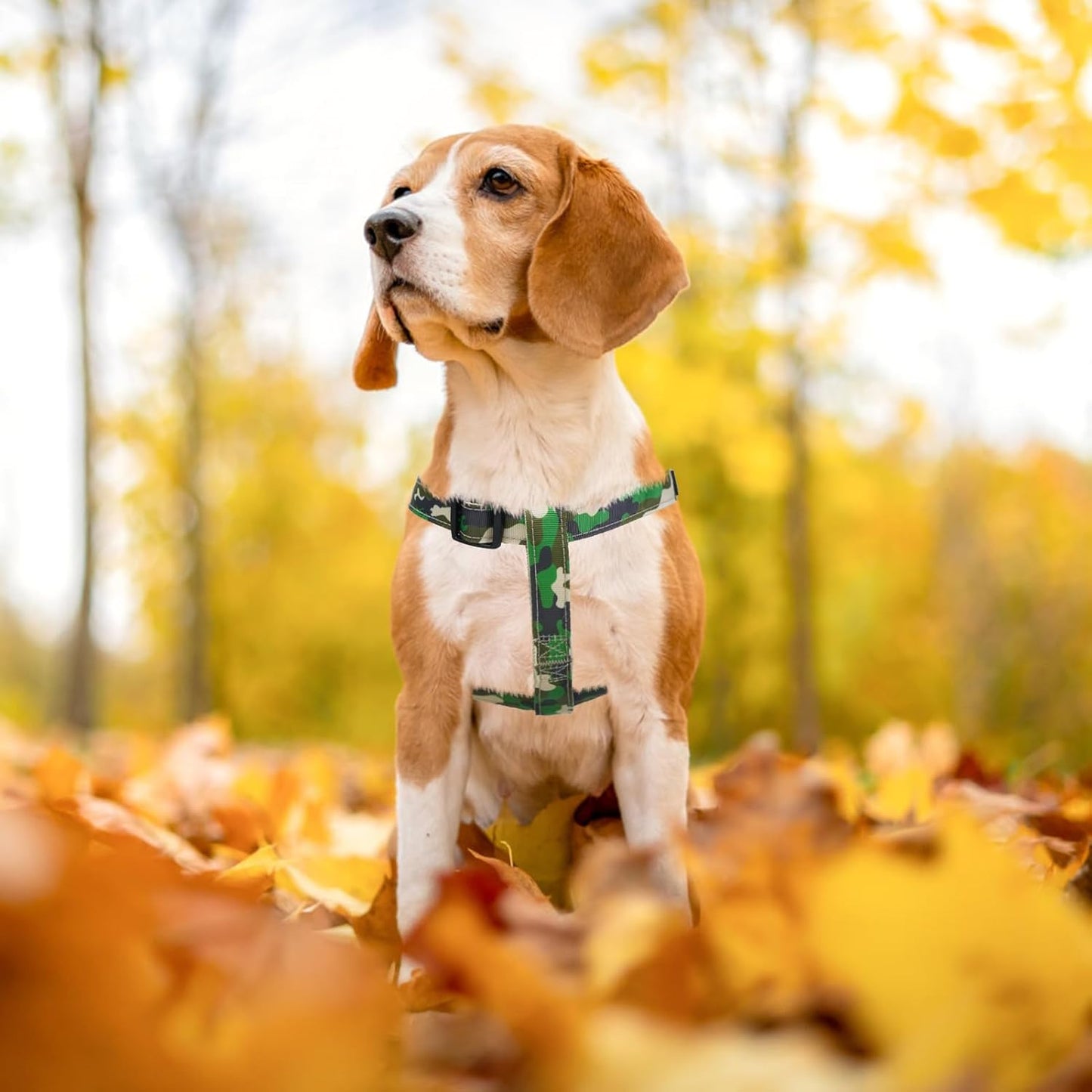 PUPTECK No Pull Dog Harness Soft Adjustable Basic Nylon Step in Puppy Vest Outdoor Walking with ID Tag, Camouflage, M