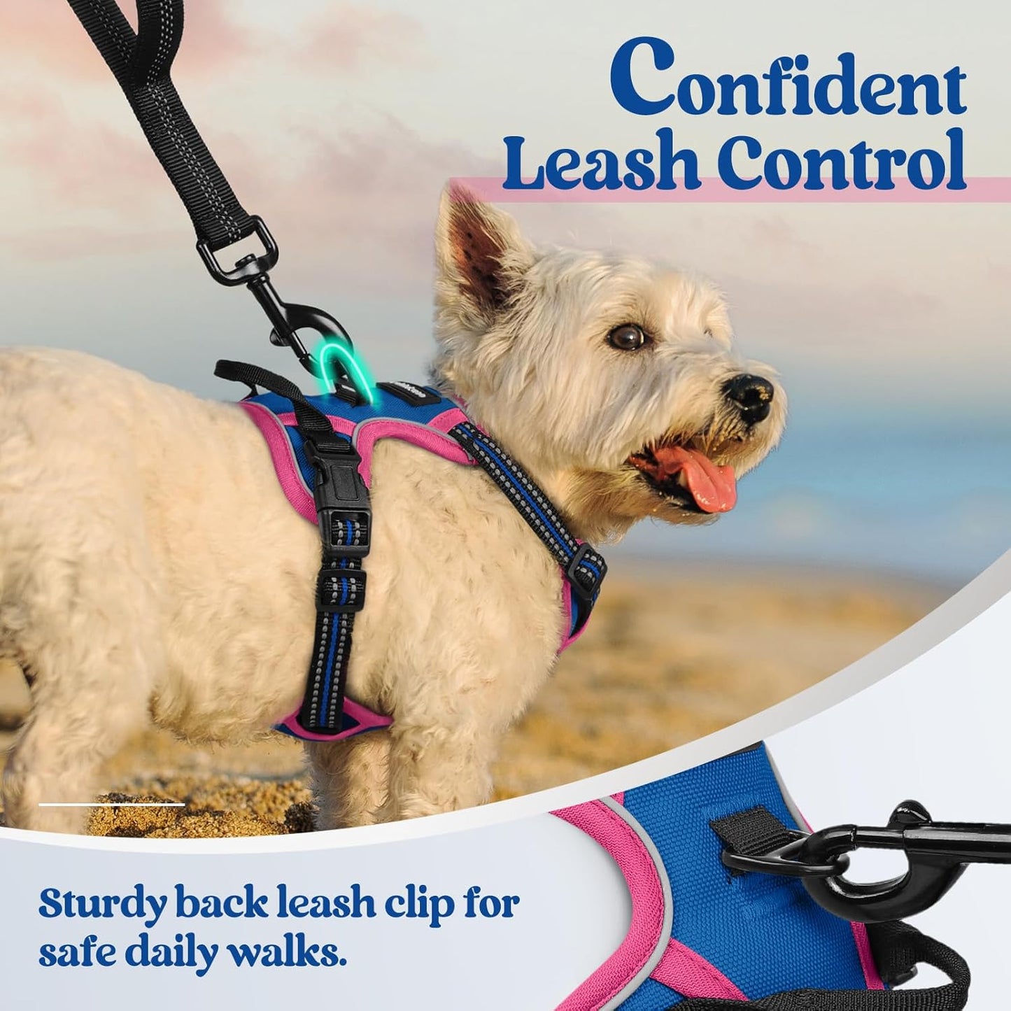 rabbitgoo Dog Harness No Pull with 2 Leash Clips, Adjustable Soft Padded, Reflective Oxford No Choke Pet Vest with Easy Control Handle for Large Dogs, Blue & Hot Pink, XS