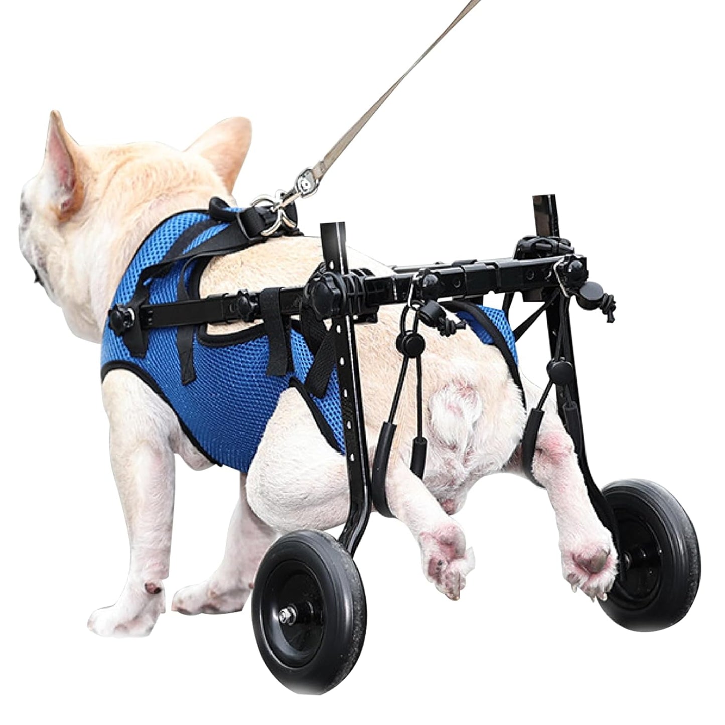 Pet Wheelchair Disabled Hind Legs Walking-Dog Leg Brace and Hip Support,Dog Wheelchair for Back Legs,Adjustable Pet Cart,Assist a paralyzed pet get Back on its feet,Support Leg Brace and Hip (Medium)