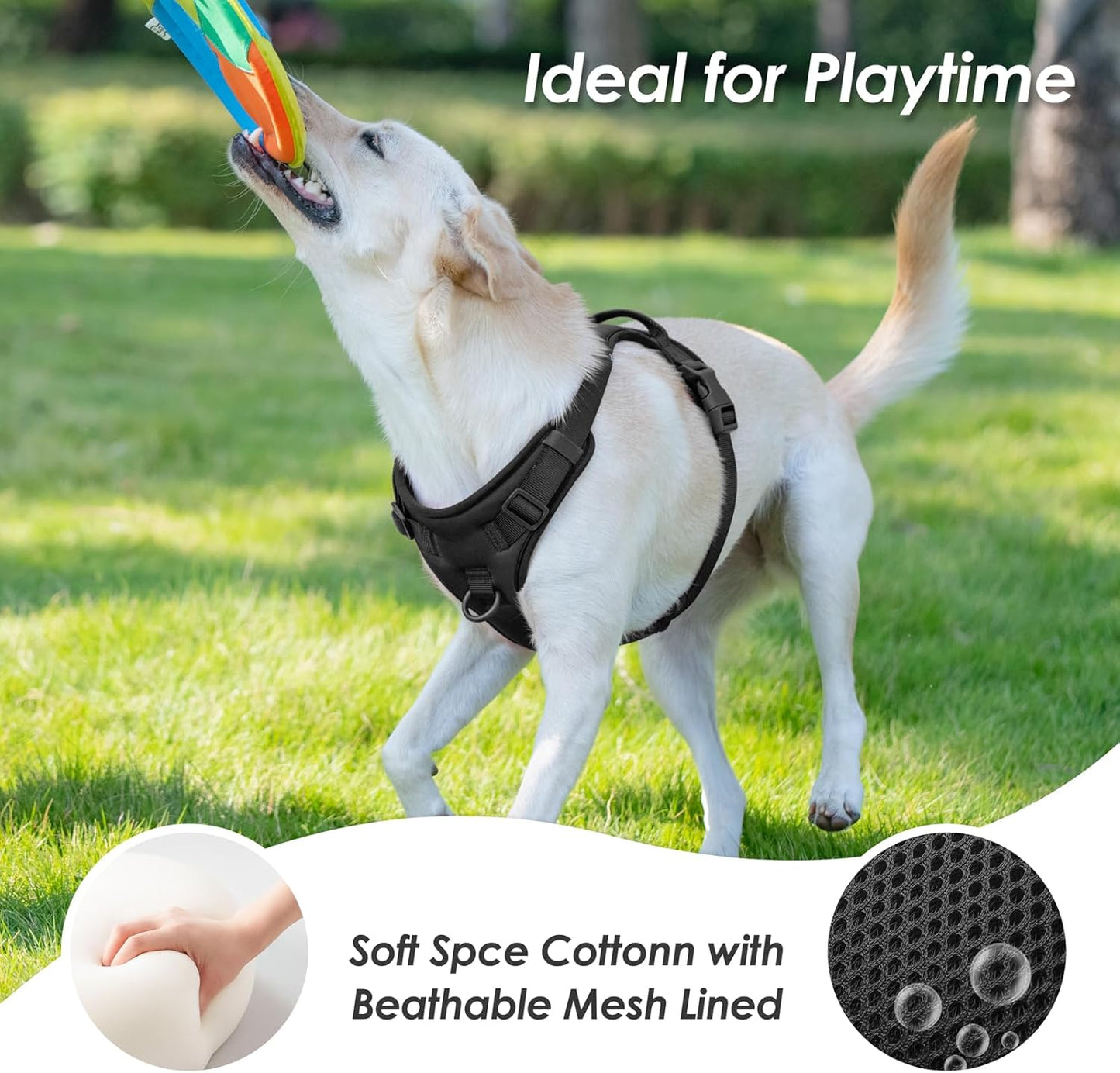 No Pull Dog Harness, Puppy Vest with Front Clip for Small Medium Large Sized Dog(Black,M)