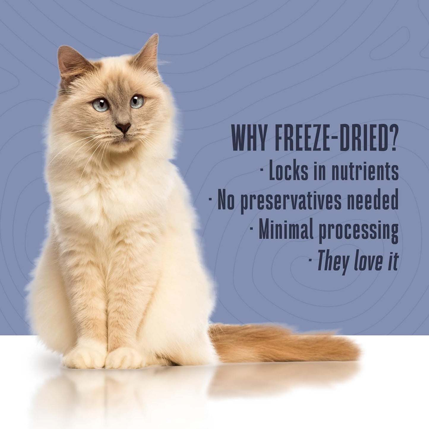 Whole Life Cat Freeze Dried Cat Food - Bland Diet with Sensitive Stomachs, Digestive Support, Anti-Diarrhea & Vomit Remedy – Human-Grade, Quick & Easy Chicken and Rice Meal, Ready in Minutes