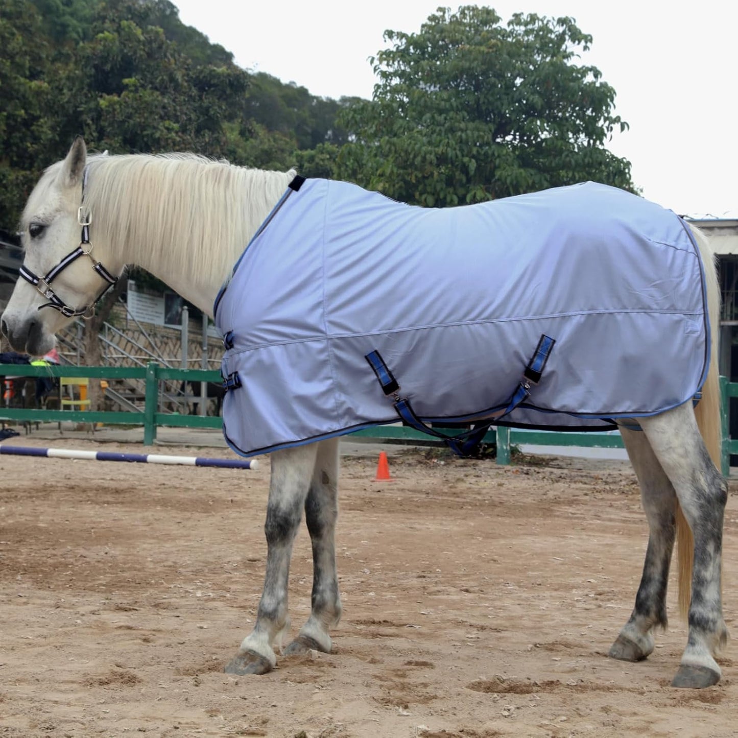 Horse Fly Sheet, Standard Neck Comfy Mesh Fly Sheet for Horses, Equine Summer Sheets UV-Protective Lightblue 66