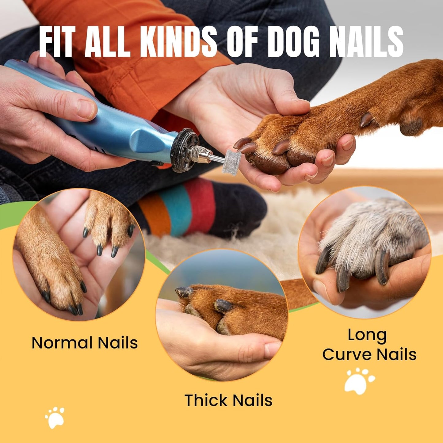 CAELUM Diamond-Coated Pet Nail Grinder Bit, 1/8” Shank for Dremel Nail Tools, Durable & Low-Noise Nail Trimmer for Dogs, Top & Side Grinding, Gentle, Precise Nail Grooming(80grit)