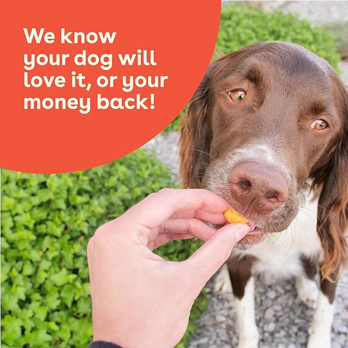 Pupford Cheese Crunchies, All-Natural, Healthy, Freeze Dried, Single-Ingredient Treat for Dogs & Puppies (Cheddar, 7.50 oz)