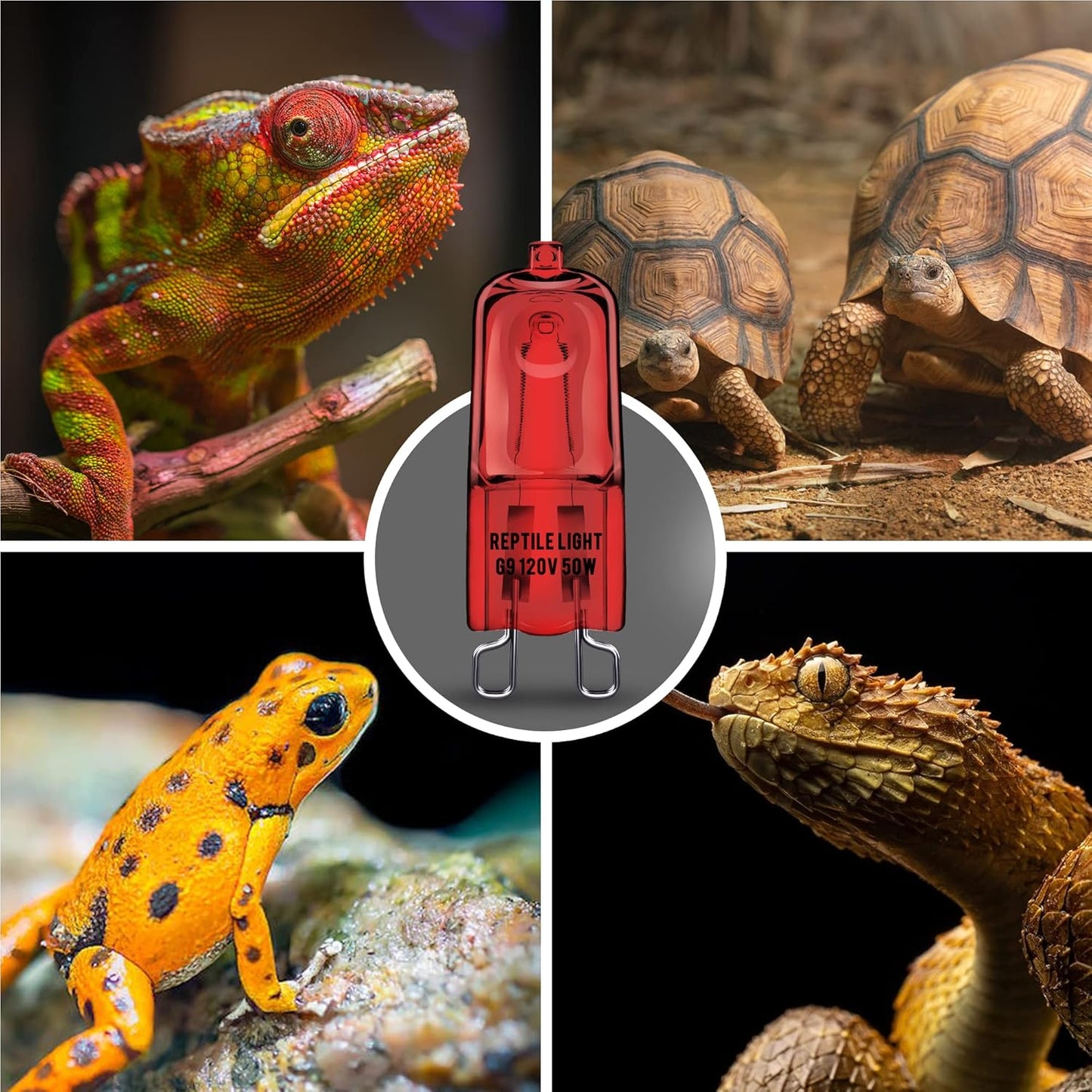 Briignite G9 Infrared Heat Lamp Bulbs for Reptile, Mini Reptile Light, Dimmable Night Red UVA Reptile Heat Lamp, 2 Pin Base Mini Heat Bulbs 50W, Bearded Dragon Turtle Lizard, 6 Pack