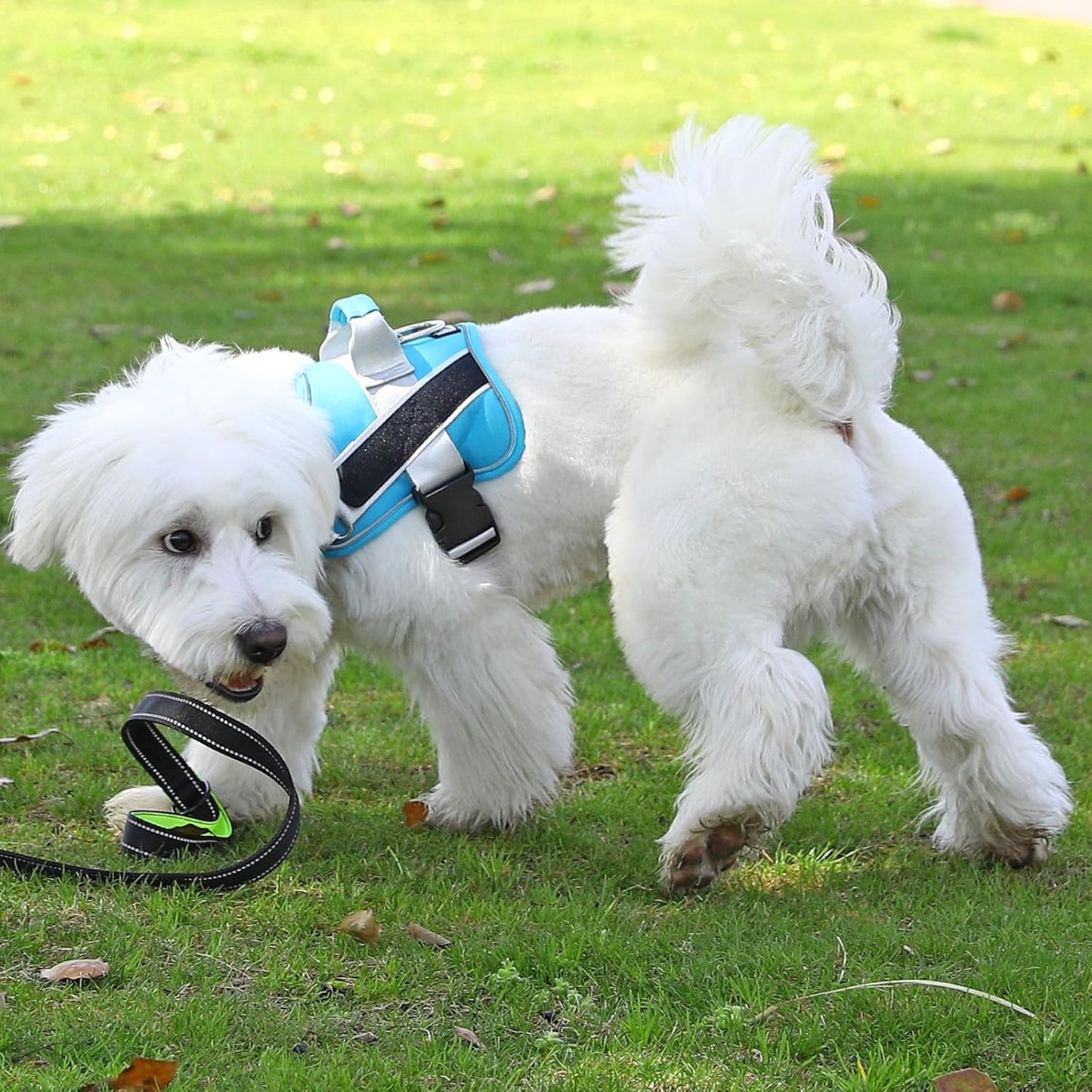 Bolux Dog Harness, No-Pull Reflective Dog Vest, Breathable Adjustable Pet Harness with Handle for Outdoor Walking - No More Pulling, Tugging or Choking (OceanicBlue, Medium (Pack of 1))