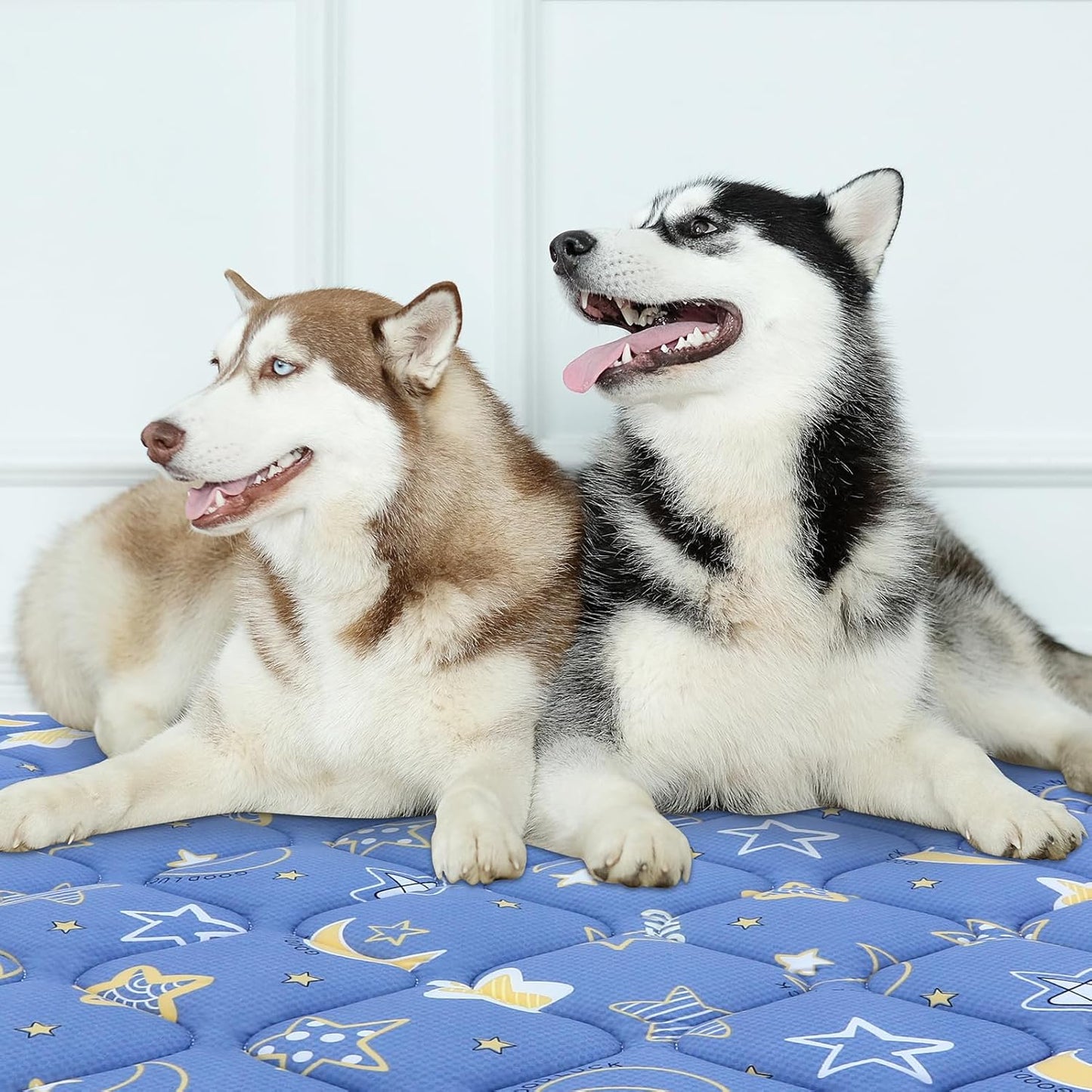 Bubble bear Dog Crate Mat - Ultra Soft, Washable & Anti-Slip Kennel Pad for Small/Medium/Large Dogs, Dark-Hued to Hide Stains (59"x35")