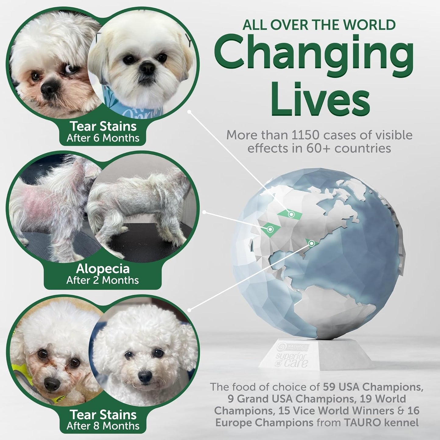 Nature's Protection Dry Dog Food for Small Breed - High Protein Tear Stain Diet for White & Light Fur Adult Dogs - Small Bites Kibble (Superior Care - Lamb and Rice, 3.3 lb)