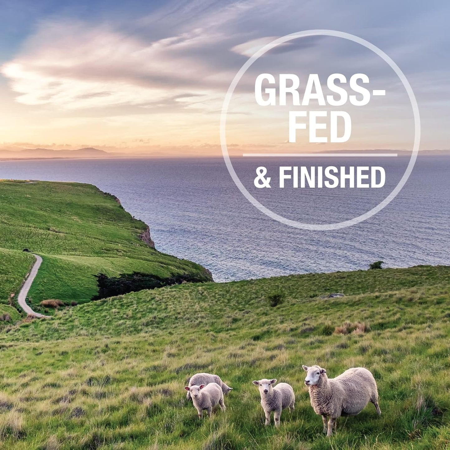 K9 Natural, Freeze-Dried Single Ingredient Dog Treats, High-Value, Low-Calorie Protein Bites for Active Dogs, Healthy Dog Training Treats, Grain-Free Reward, Lamb Lung, 1.76oz (Pack of 2)