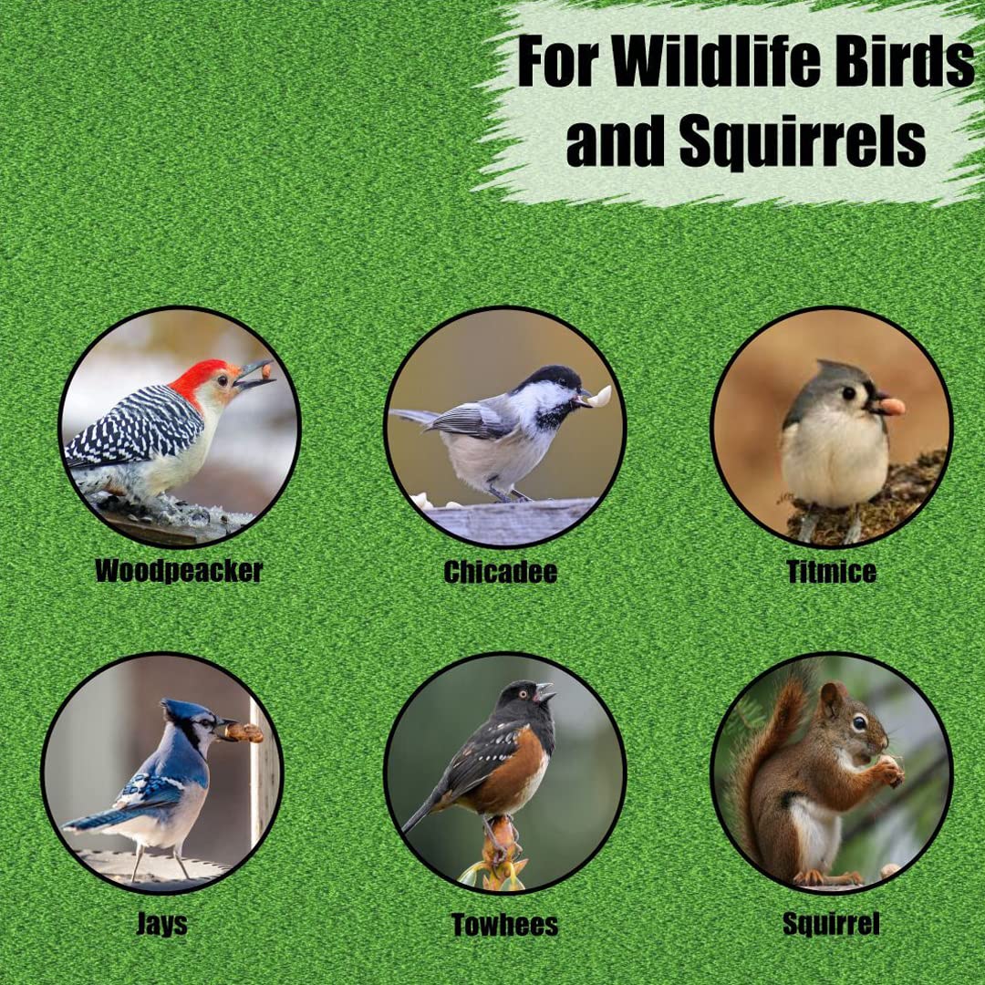 Wildlife in-Shell Peanuts, 25 lbs for Birds, Squirrels, and Wildlife. USA Grown Non-GMO, Organic Small Farm, Raw in-Shell Peanuts. Wildlife Grade, 25 lbs.