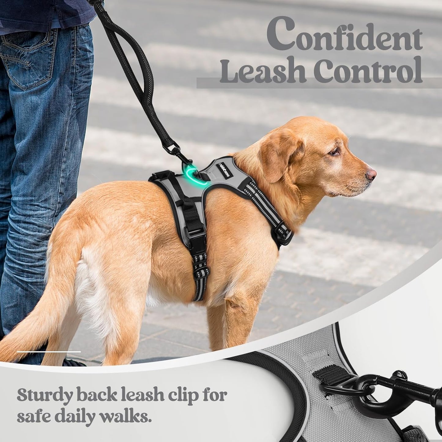 rabbitgoo Dog Harness No Pull with 2 Leash Clips, Adjustable Soft Padded, Reflective Oxford No Choke Pet Vest with Easy Control Handle for Large Dogs, Grey, L
