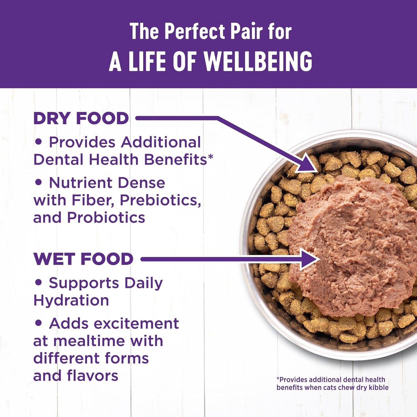 Wellness Complete Health Pate Adult Wet Cat Food, Natural, Protein-Rich, Grain Free, 5.5 Ounce, 24 Pack, (Beef & Chicken)