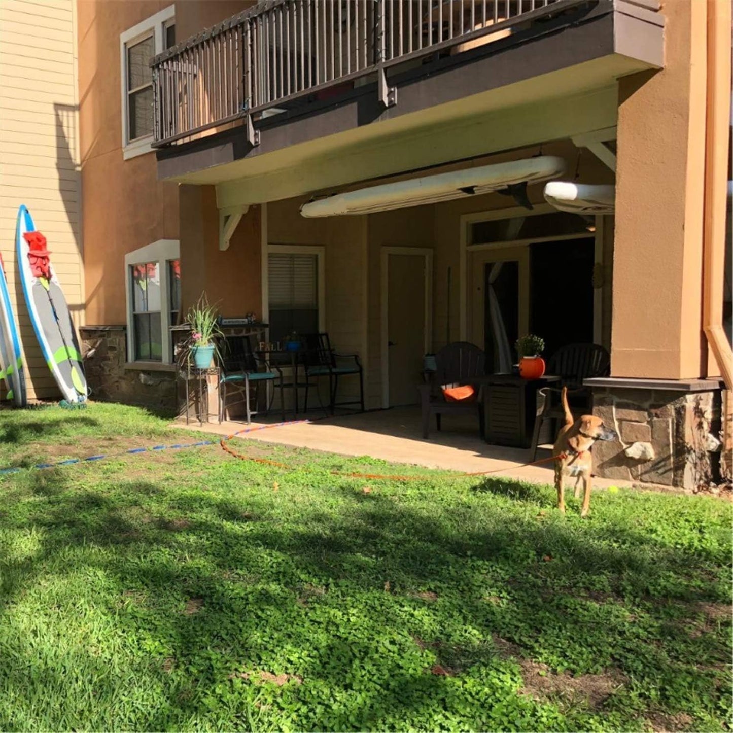 Dog/Puppy Obedience Recall Training Agility Lead - 15ft 20ft 30ft 40ft 50ft Training Leash - Great for Play, Camping, or Backyard (Pink, 20 Feet)