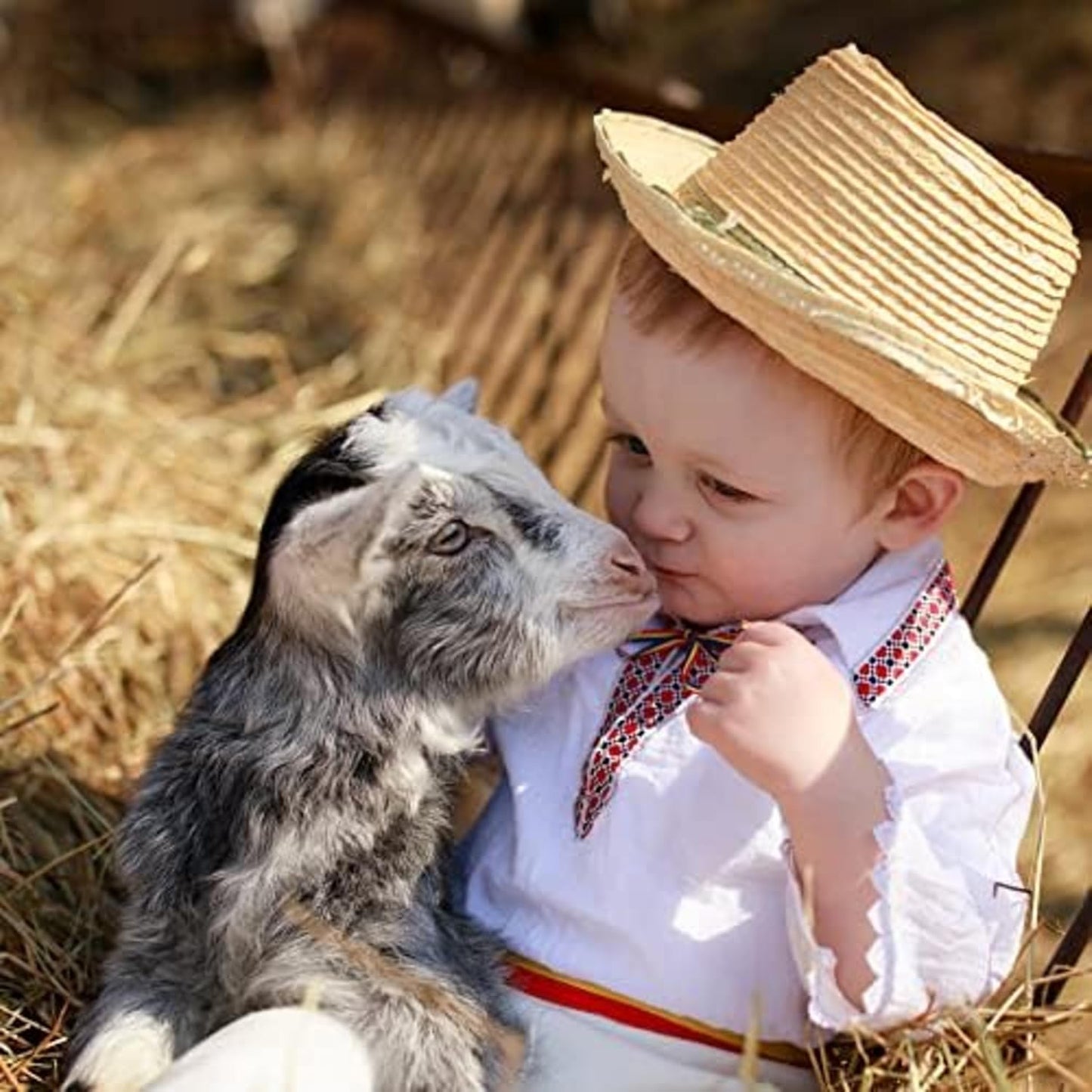 Blue Mountain Hay | Fresh Organic Meadow Hay (24 Ounce) | Mimics Natural Forage | High-Altitude Hay Pet Food for Rabbits, Guinea Pigs, Chinchillas, Hamsters, and Other Small Pets