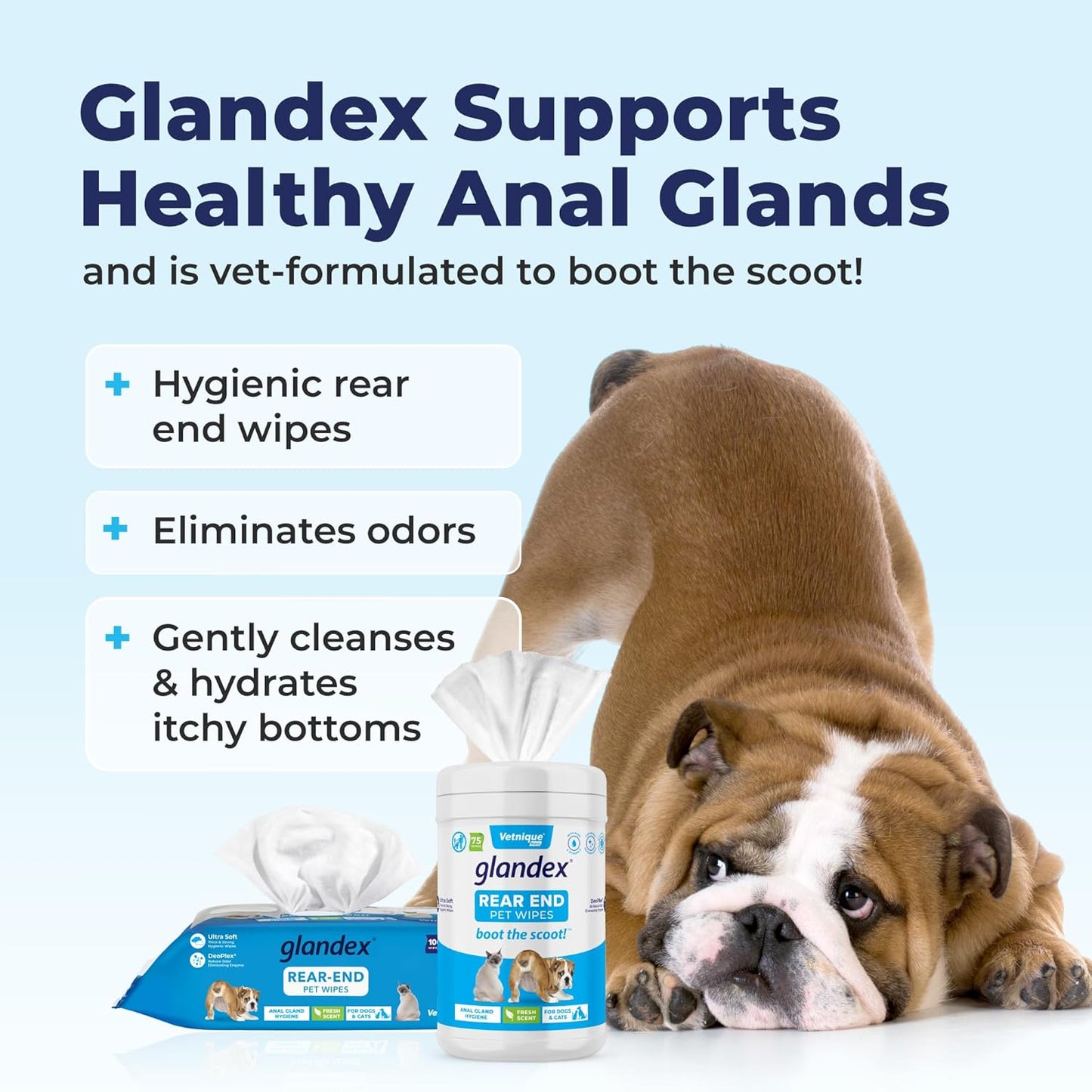 Vetnique Labs Glandex Dog Wipes for Pets Cleansing & Deodorizing Anal Gland Hygienic Dog & Cat Wipes with Vitamin E, Skin Conditioners and Aloe (100ct Pouch)