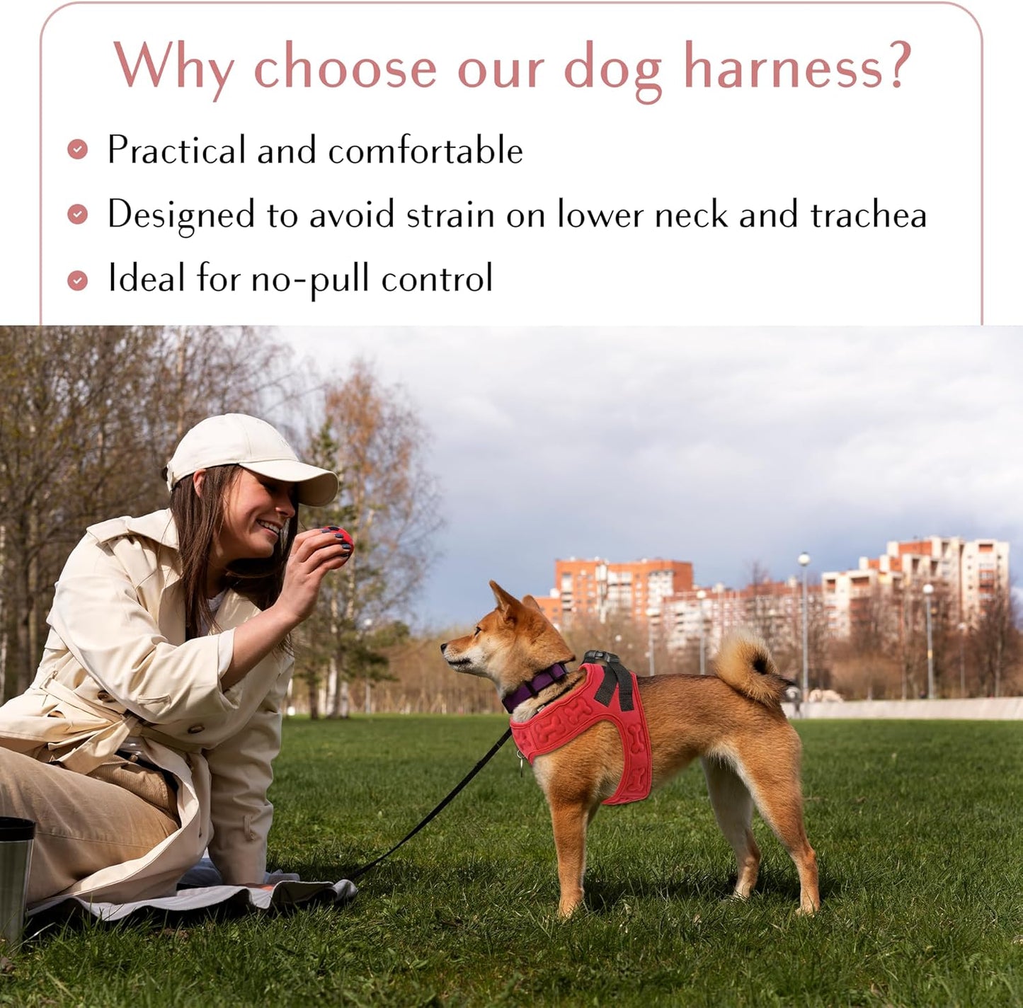 No Pull Dog Harness for Small, Medium & Large Dogs – Soft Padded, Adjustable Step-in Pet Vest with Leash Clips, Reflective Straps & Control Handle