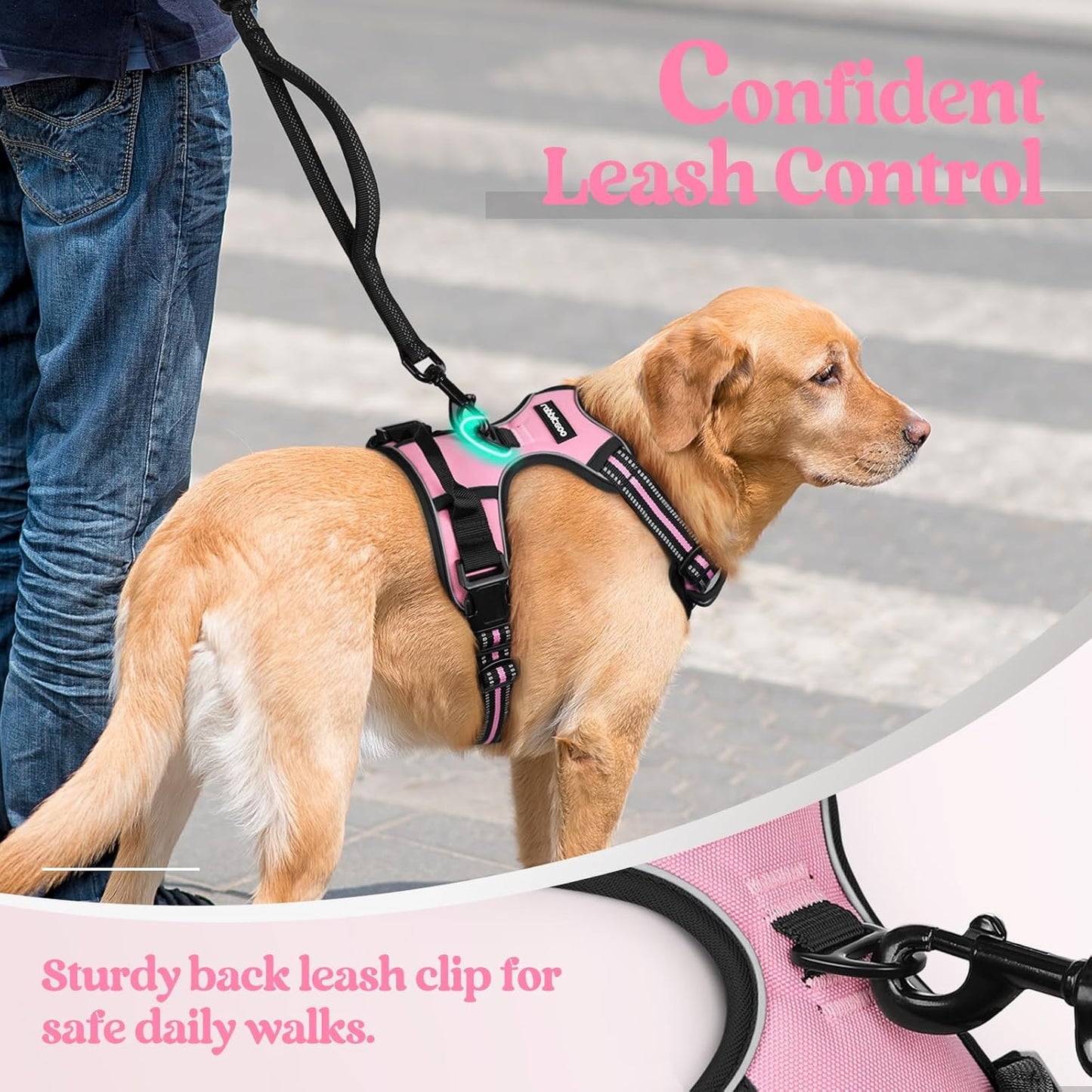 rabbitgoo Dog Harness No Pull with 2 Leash Clips, Adjustable Soft Padded, Reflective Oxford No Choke Pet Vest with Easy Control Handle for Small Dogs, Pink, S