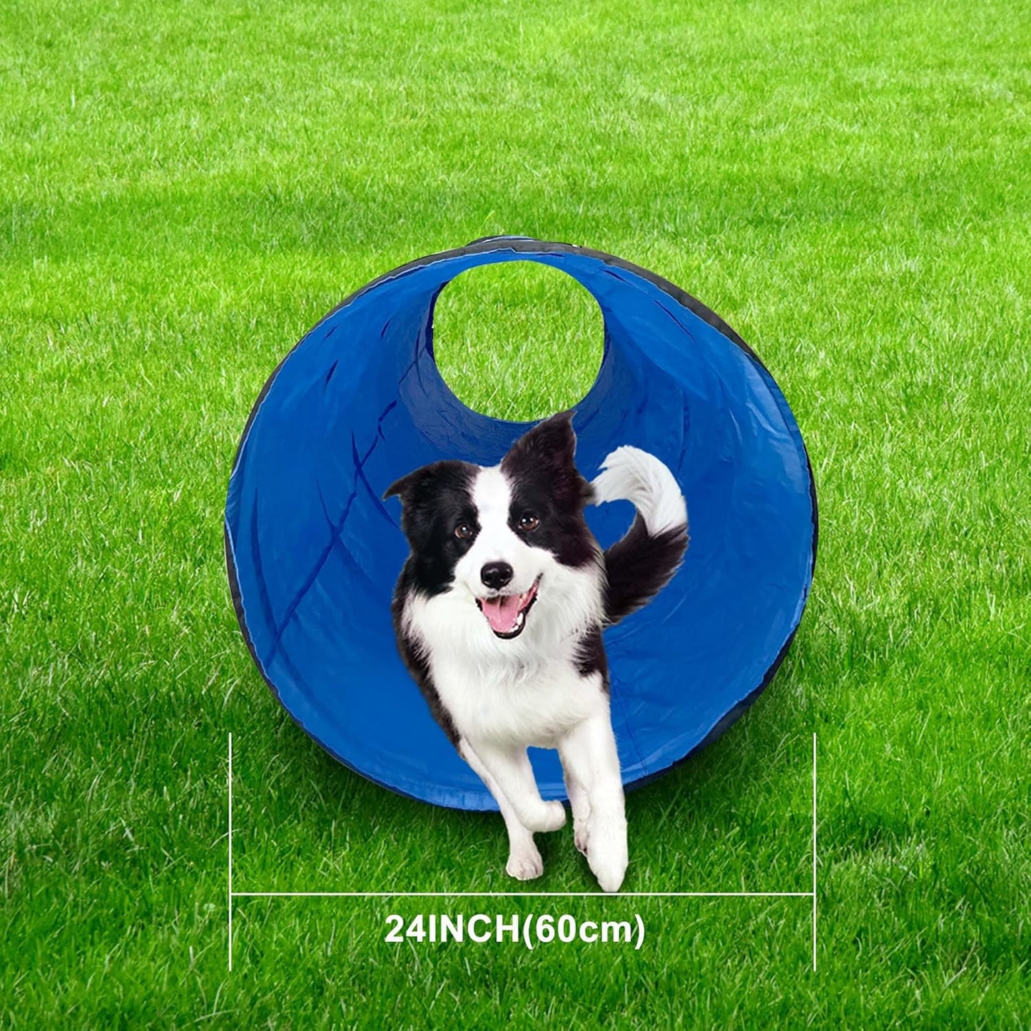 Dog Agility Tunnel, Dog Agility Equipment, Dog Agility Training with Carry Bag (Blue)