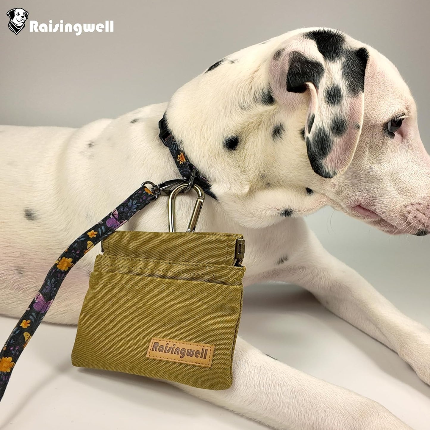 Dog Treat Pouch, Brown Pocket Sized Pet Training Pouch, Cotton Fabric, Hand Free Dog Walking Bag with Carabiner, Self-Closing Pet Feed Snack Reward, for Puppy Travel or Outdoor Use