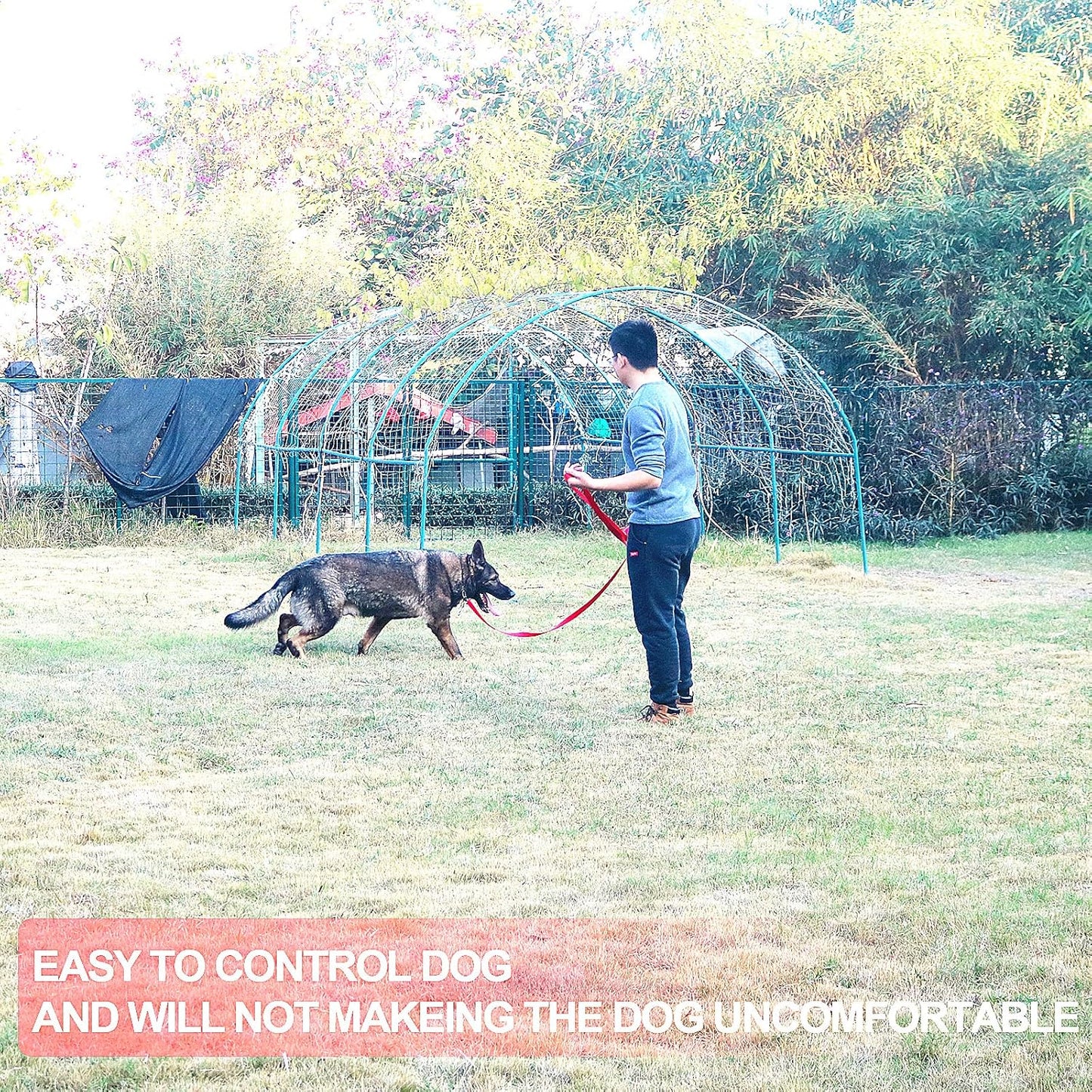 Siumouhoi Dog/Puppy Obedience Recall Training Agility Lead - 15ft 20ft 30ft 40ft 50ft Training Leash - Great for Play, Camping, or Backyard - Orange 20ft (20Feet, Orange)