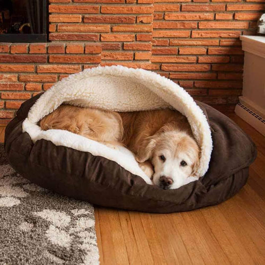 Keeping Pets Warm This Winter: Best Thermal Apparel & Cozy Bedding