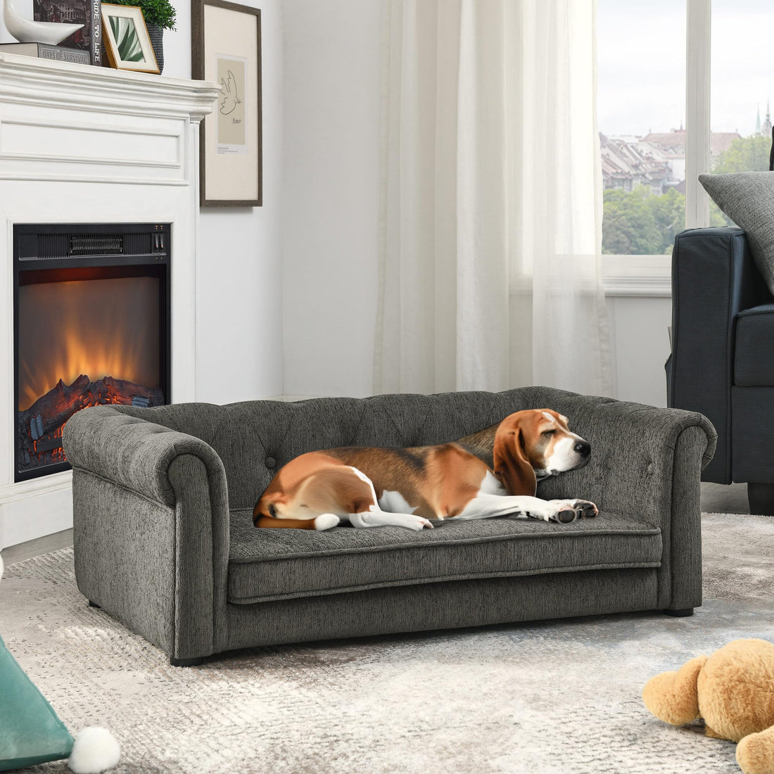 Pet Home Styling:  How to Choose Comfortable Furniture for Your Dog or Cat