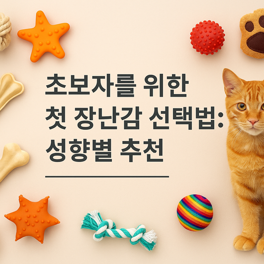 Beginner’s Guide to Choosing the Right First Toy: Personality-Based Tips