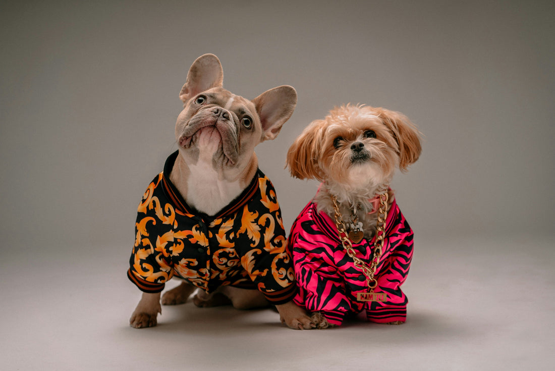 Seasonal Pet Fashion Essentials:  What Your Pet Should Wear Each Season