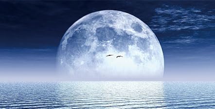 Moon Aquarium Background,Cool Sea Galaxy Parallel Space Themed Fish Tank Background, Cool Terrarium Background 48X18IN with 8 EVA Double-Sided Tape