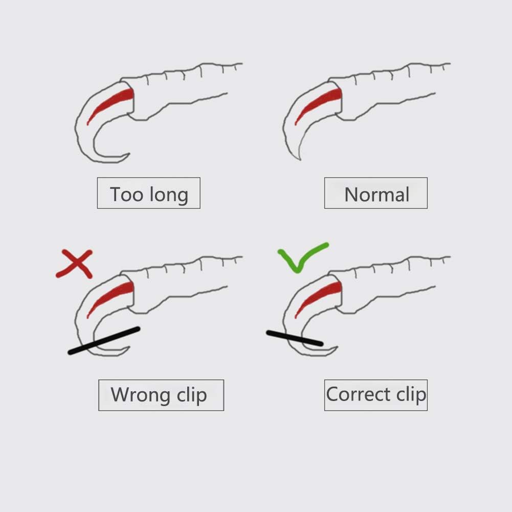 OMEM Bird Nail Clippers with Grinding Nail Scissors Tool Pet Parrot Claw Care (Pink,L)