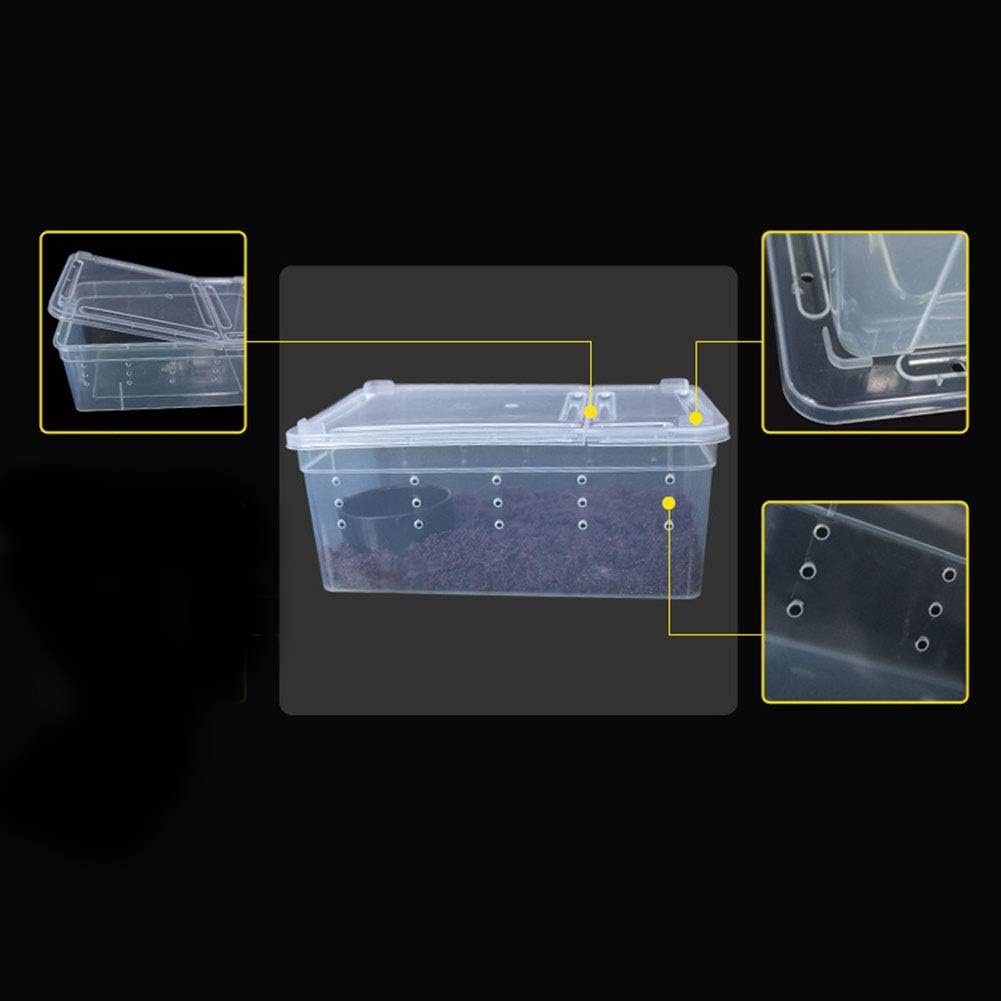 OMEM Portable Reptile Terrarium Habitat for Mini Pet Houses Breathable Holes Stackable Container (XS)